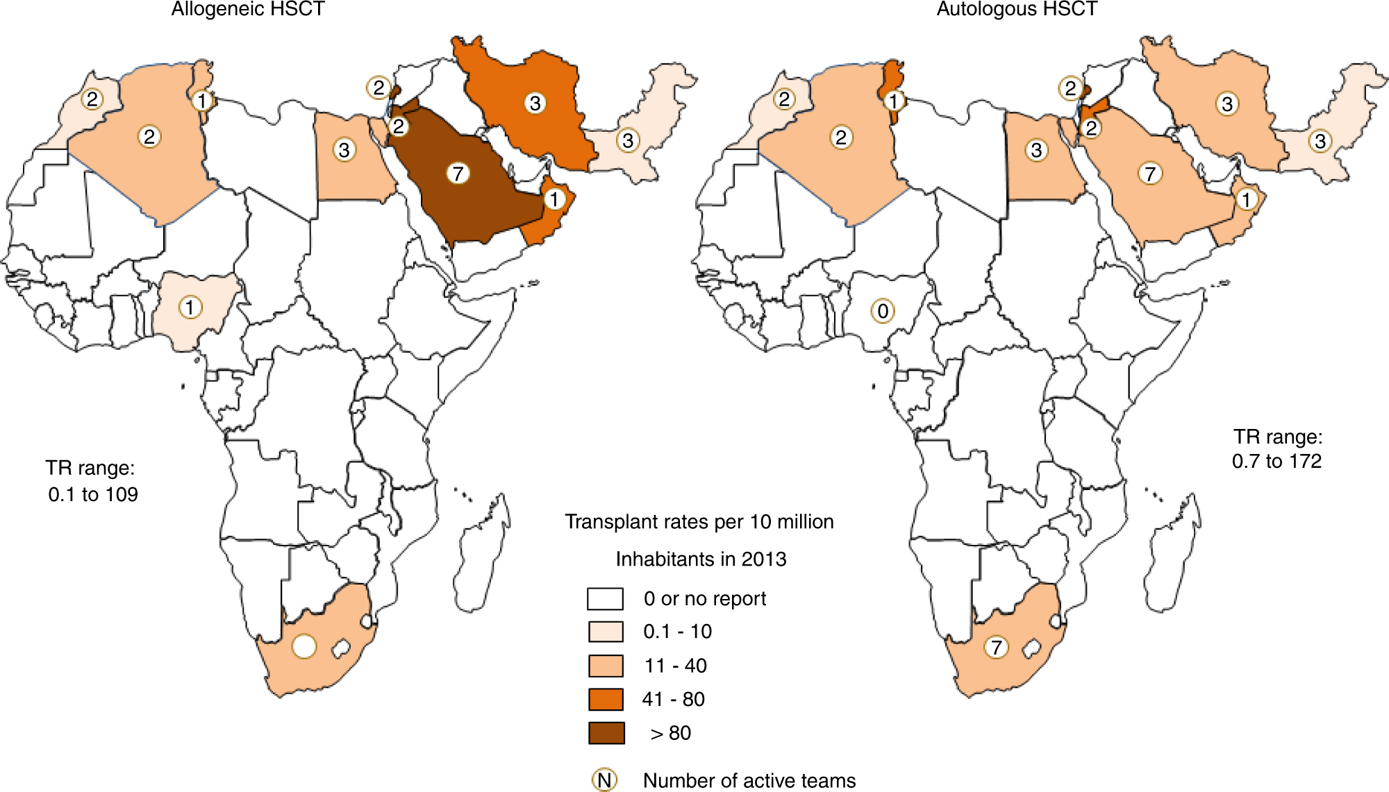 Lower regions