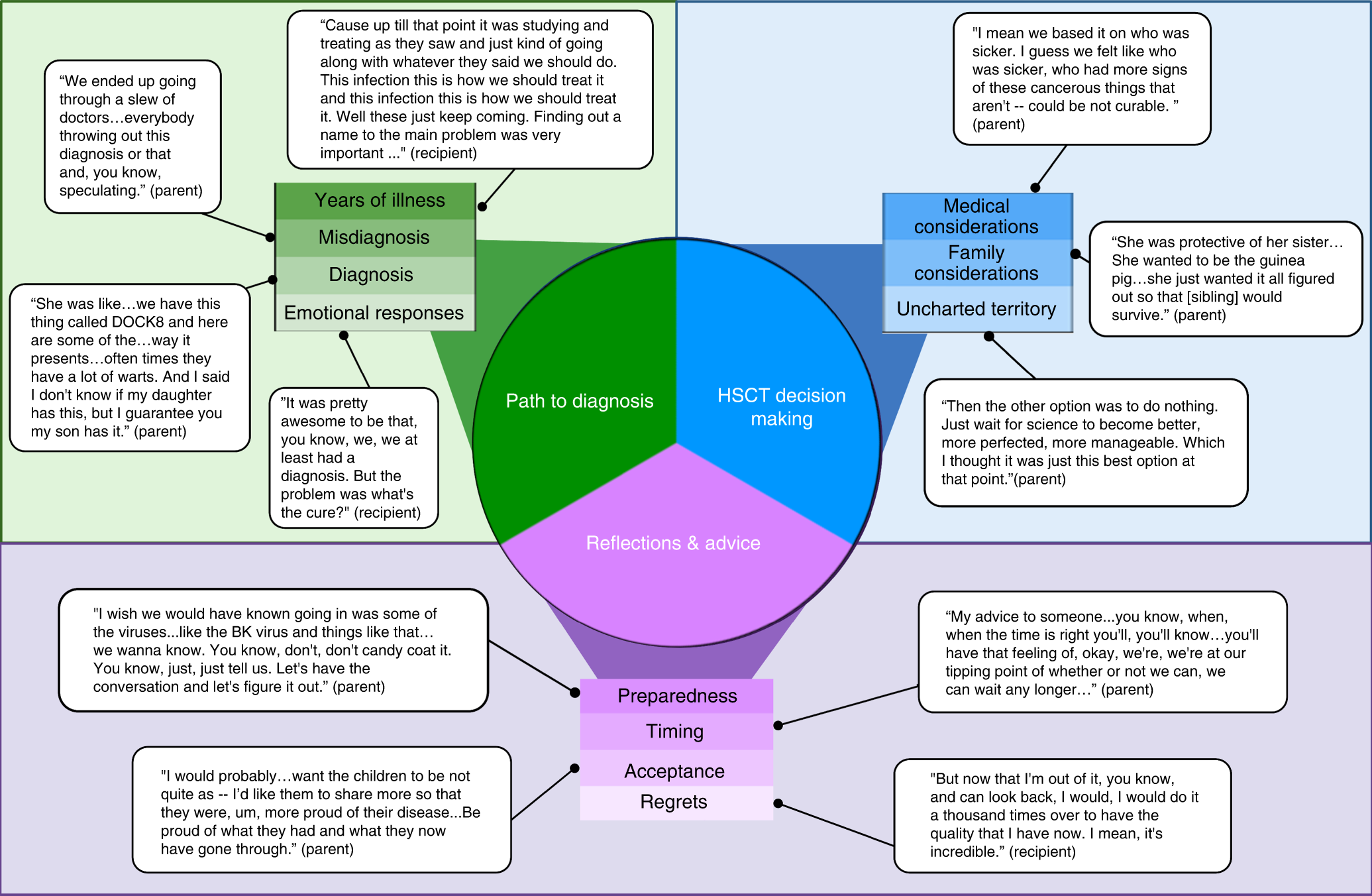 Tandem hematopoietic stem cell transplant considerations in families with  multiple siblings affected by DOCK8 deficiency | Bone Marrow Transplantation