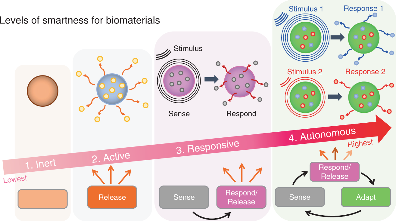 On the road to smart biomaterials for bone research: definitions, concepts,  advances, and outlook | Bone Research