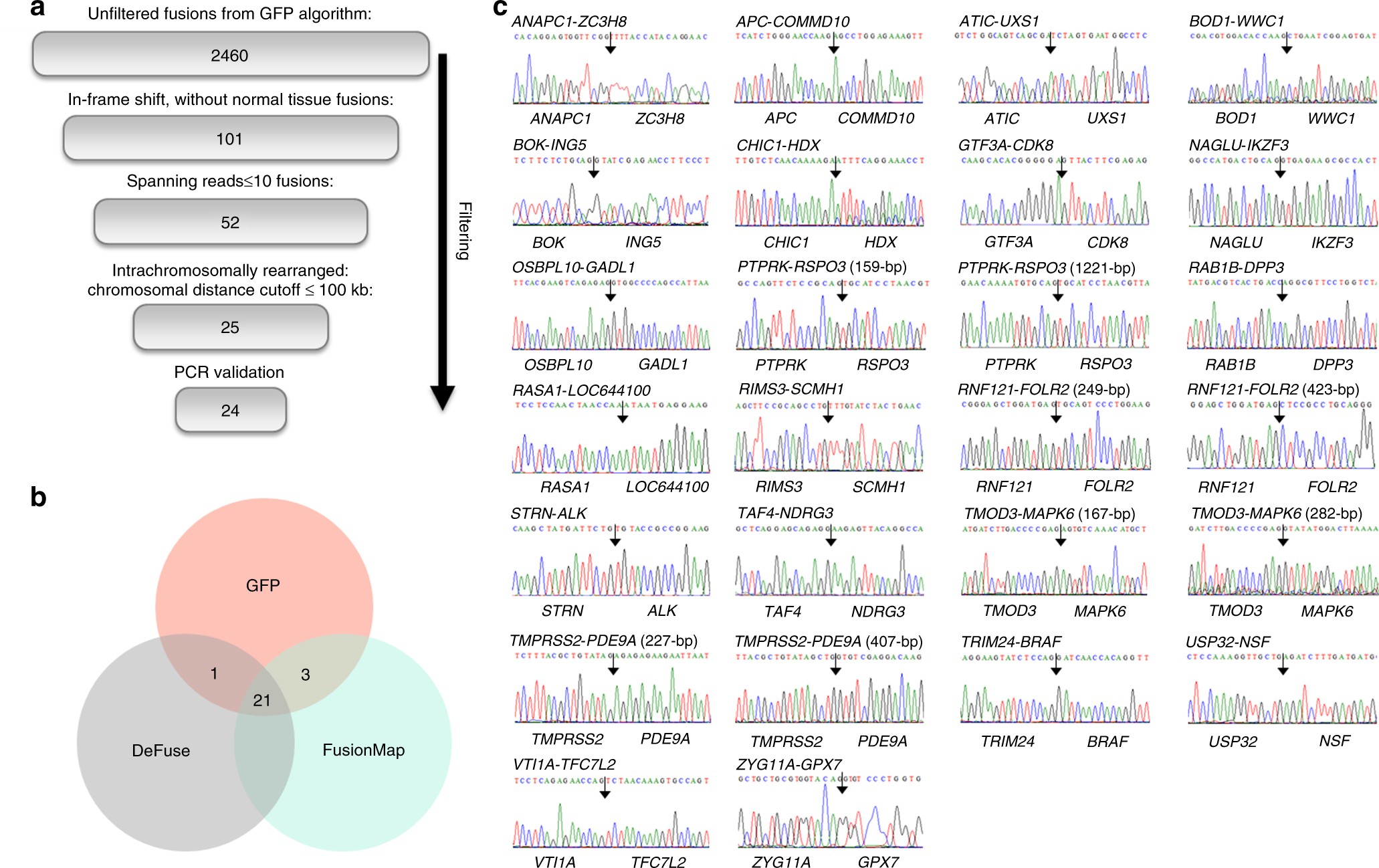 Integrative analysis of oncogenic fusion genes and their functional impact  in colorectal cancer | British Journal of Cancer
