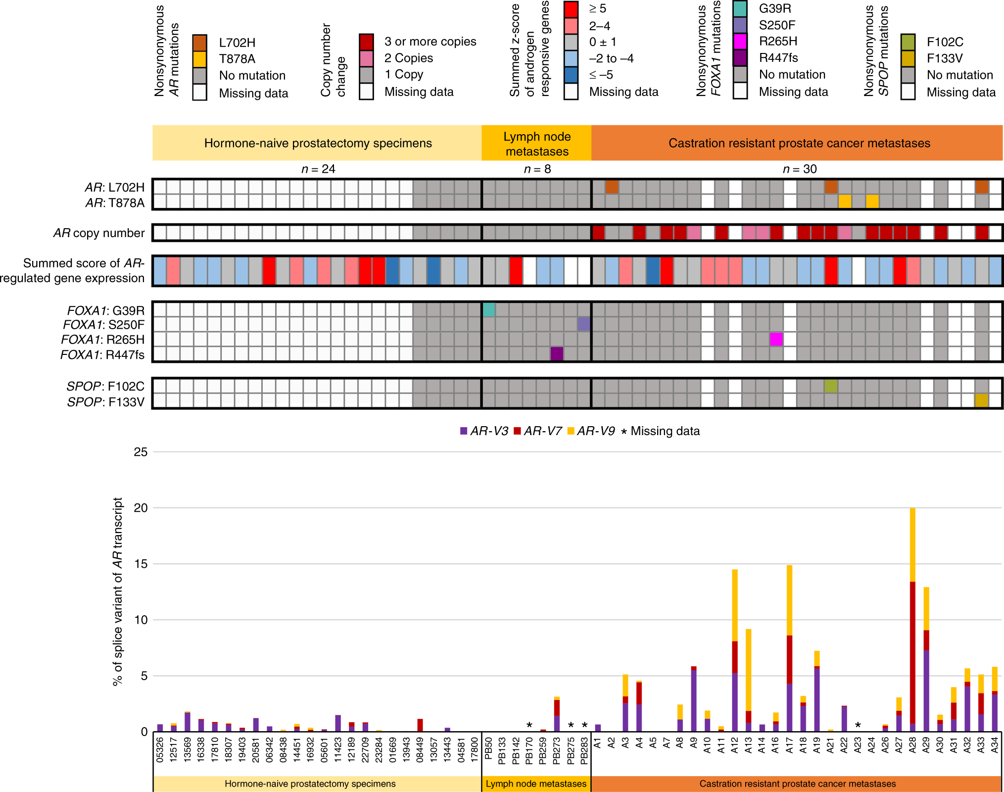 Splice Variants Reveal Connections >> Constitutively Active Androgen Receptor Splice Variants Ar V3 Ar Splice Variants Reveal Connections >> Constitutively Active Androgen Receptor Splice Variants Ar V3 Ar