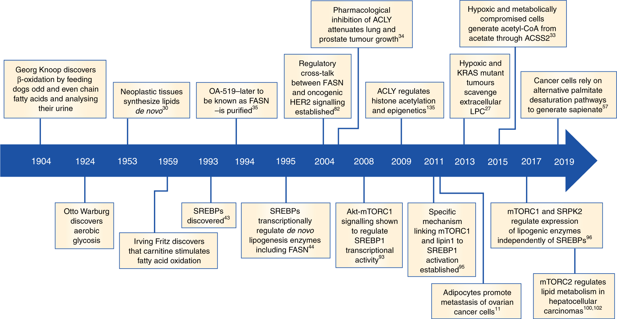 Reprogramming Of Fatty Acid Metabolism In Cancer British Journal Of Cancer