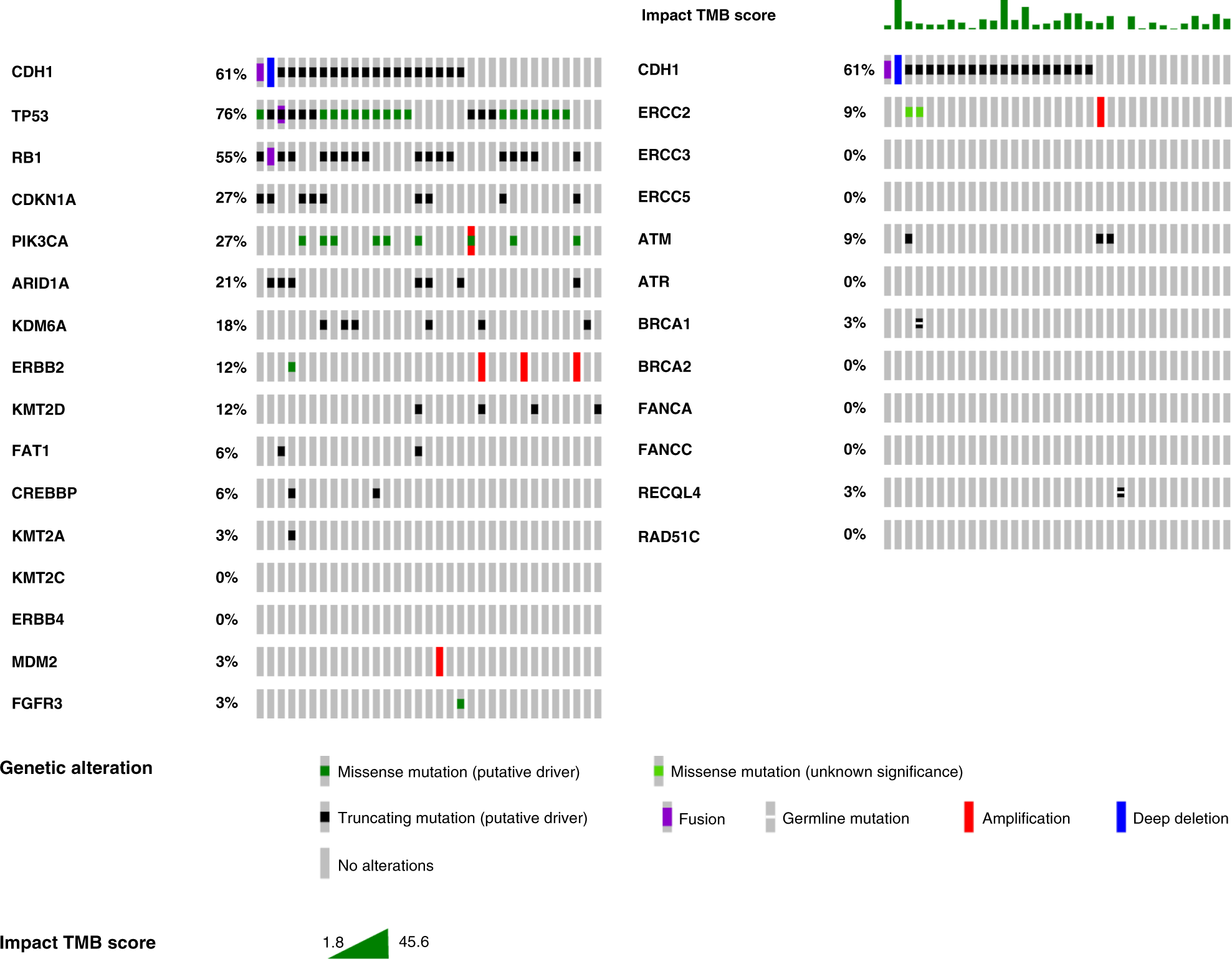 Fig. 3: Genomic characterisation of plasmacytoid urothelial carcinoma.