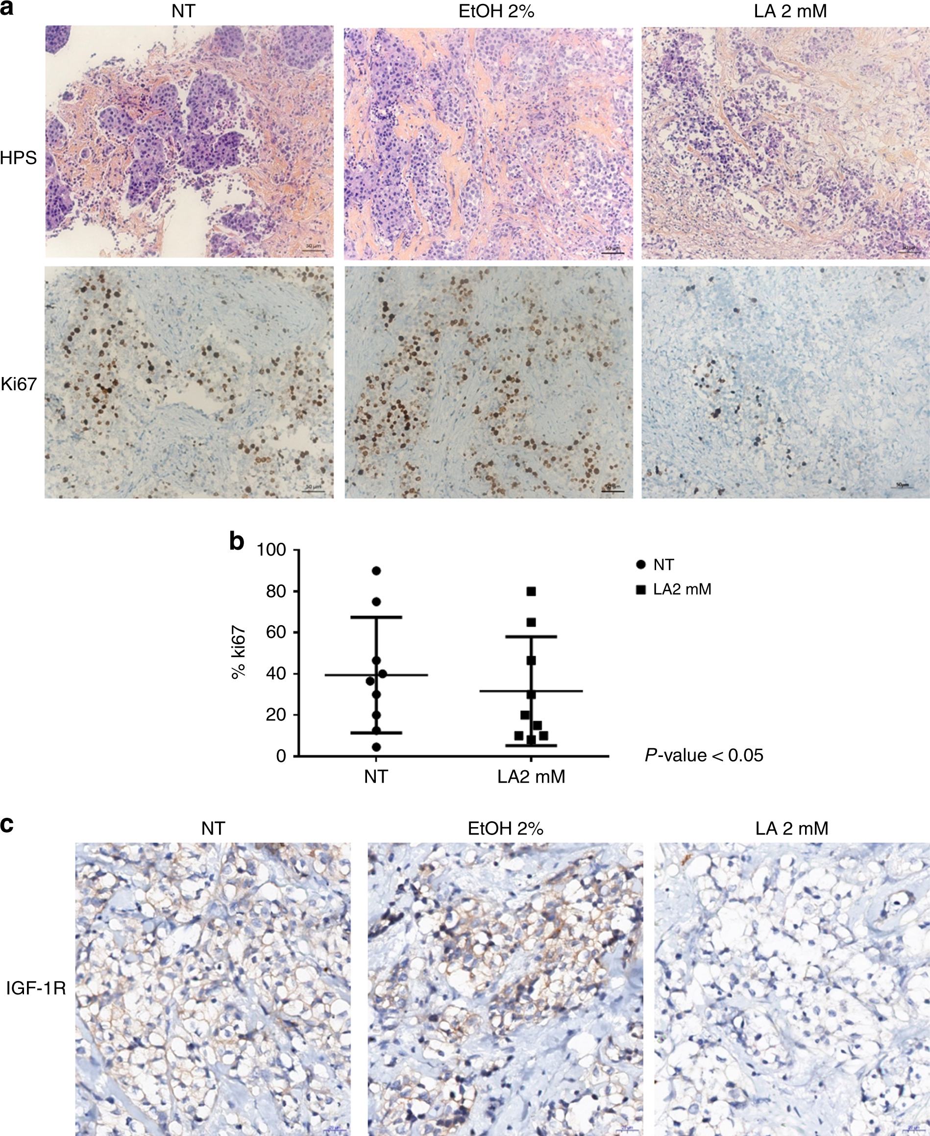 Fig. 5: LA decreases the expression of Ki67 and IGF-1R.