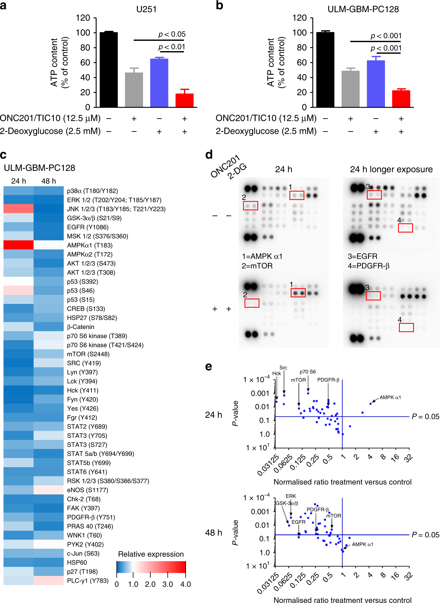 Fig. 3: Treatment with ONC201/TIC10 and 2-Deoxyglucose causes energy deprivation and a hypo-phosphorylative state.