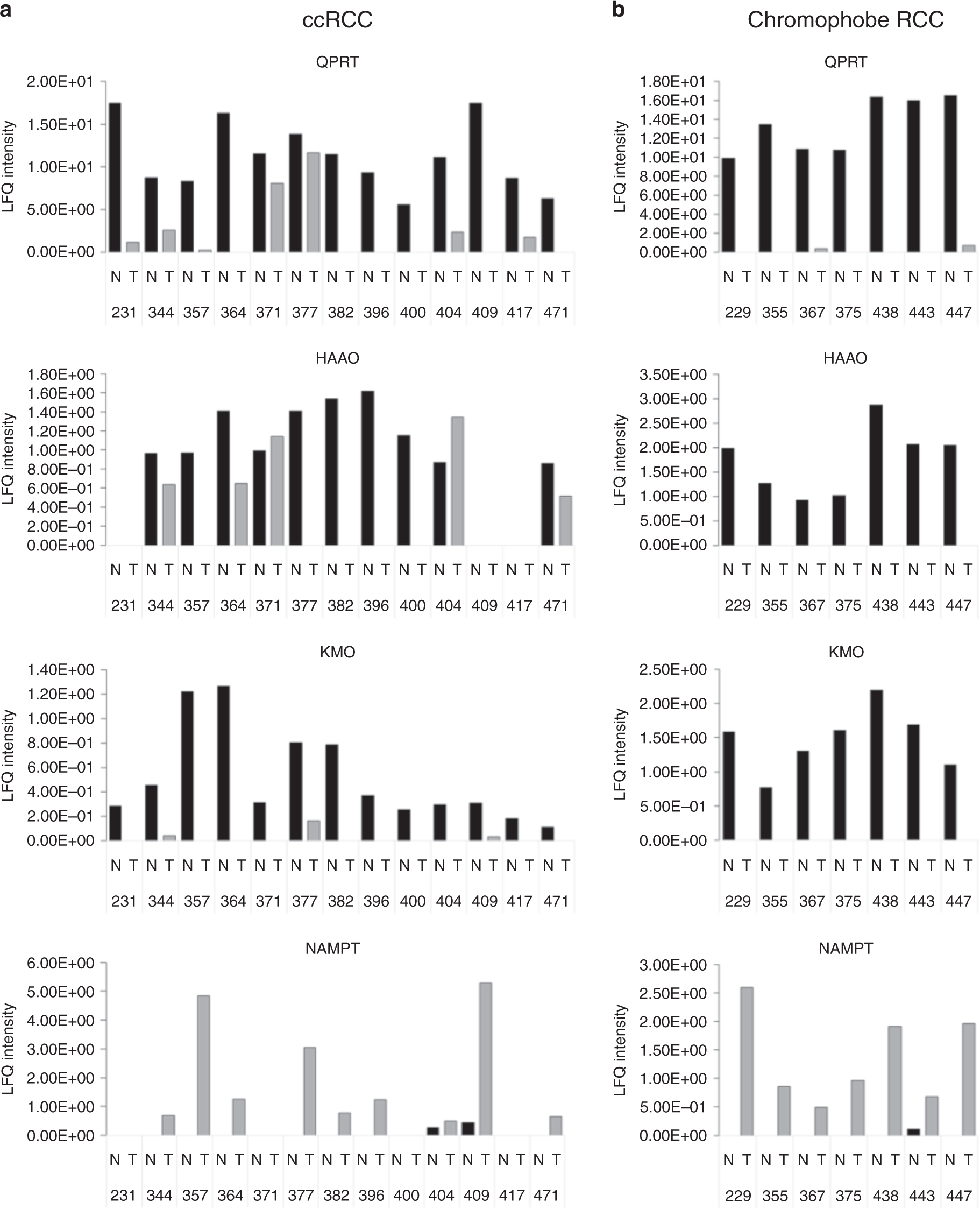 Fig. 3: Multiple proteins in the kynurenine pathway are dysregulated in RCC.