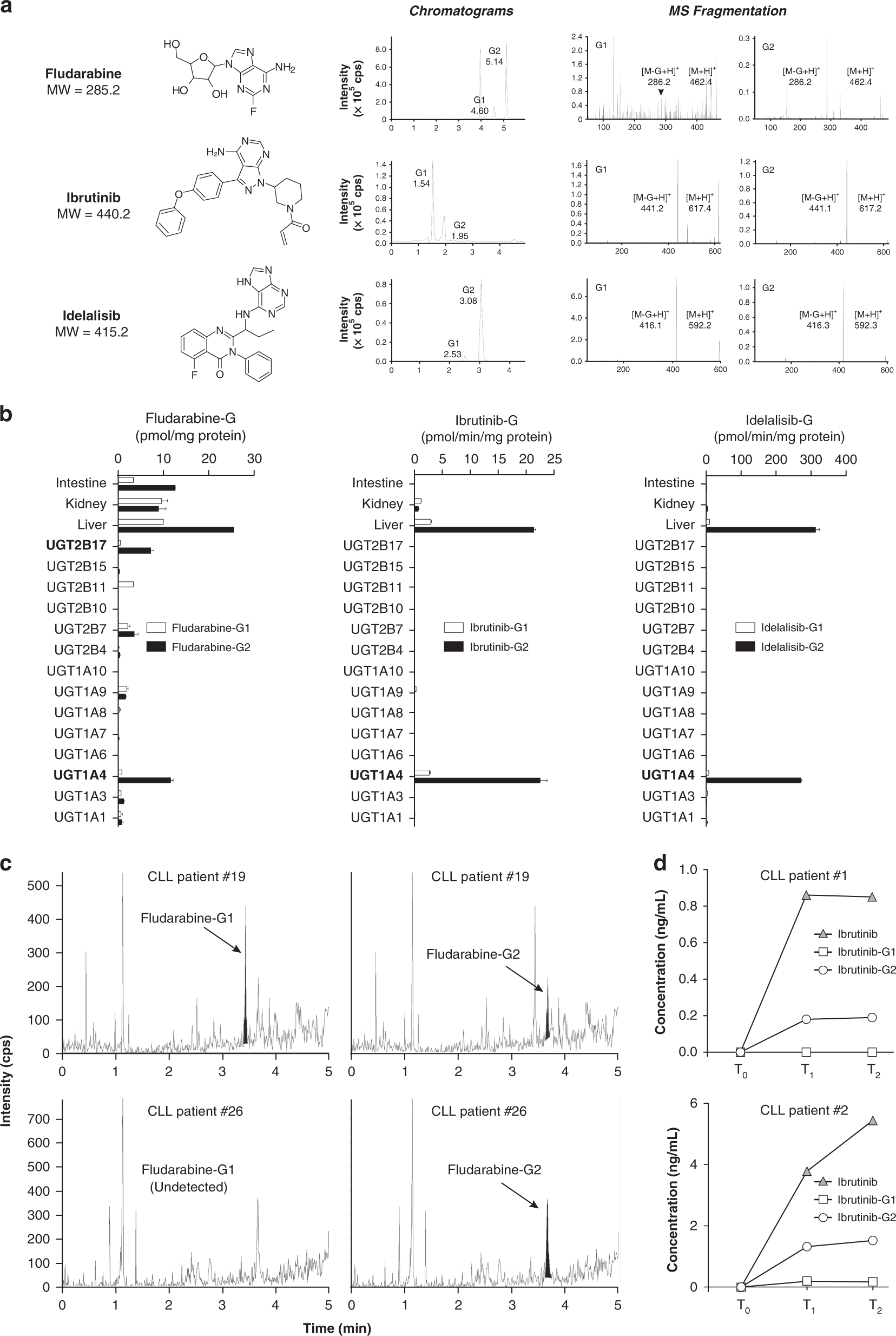Fig. 3: Inactivation of anti-leukaemic drugs by glucuronidation in human metabolic tissues, B-cell models, and detected in CLL patients.