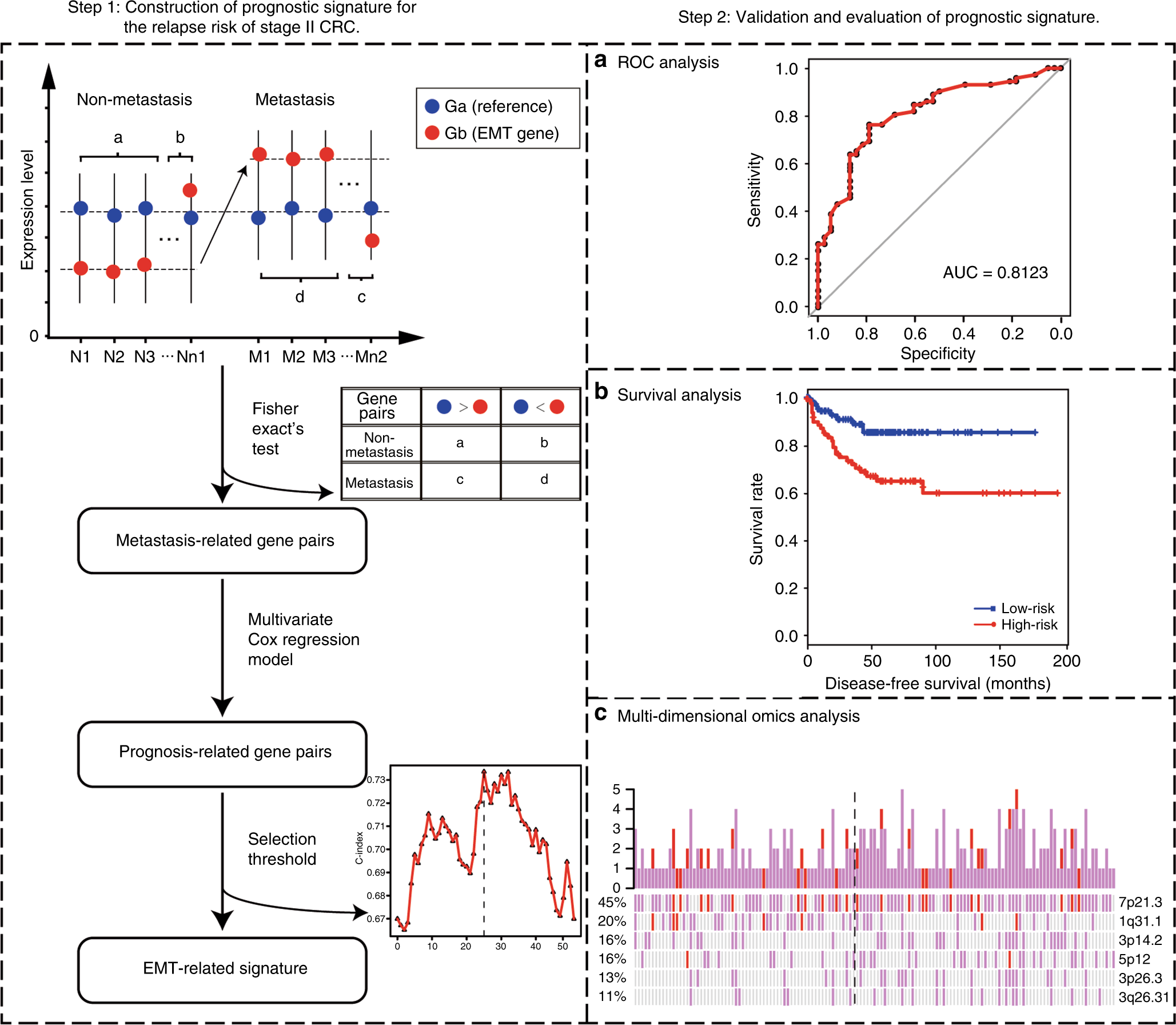 Fig. 1: Flowchart of the processes for developing and validating the prognosis signature.
