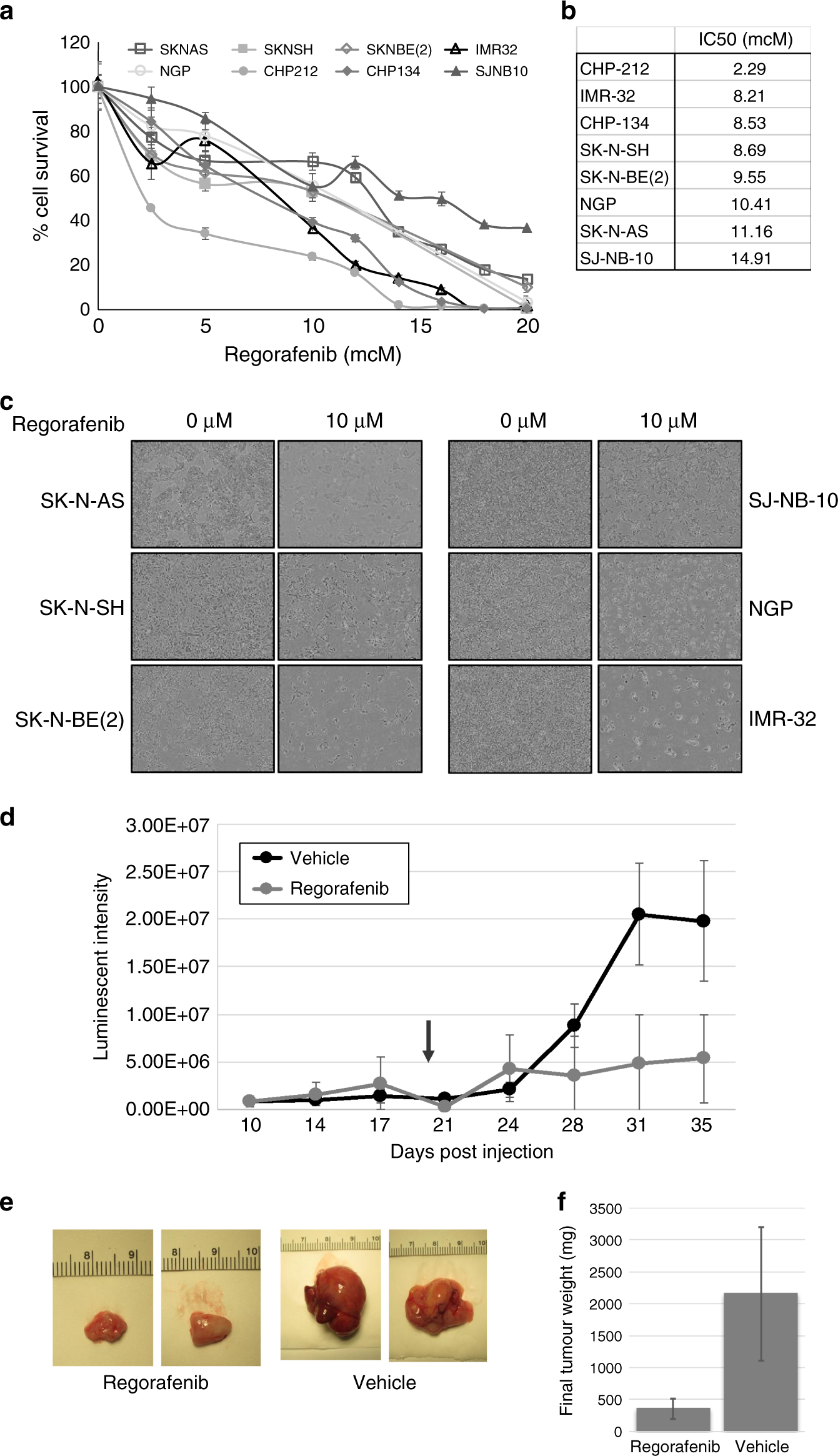Fig. 1: Regorafenib reduces neuroblastoma cell viability and xenograft tumour growth.