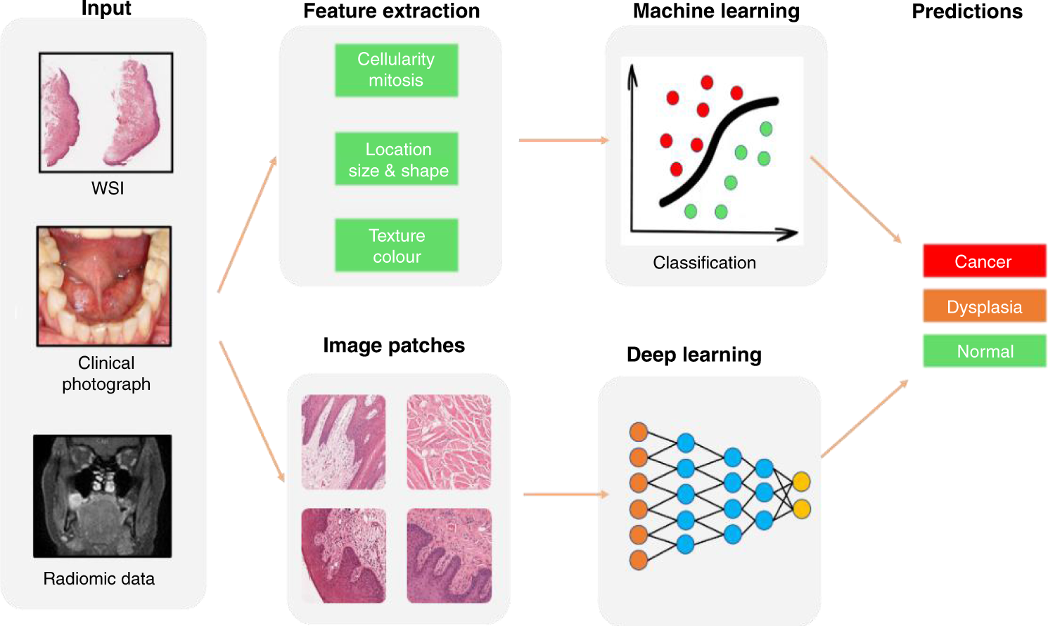 Frontiers  Deep learning for automatic head and neck lymph node level  delineation provides expert-level accuracy