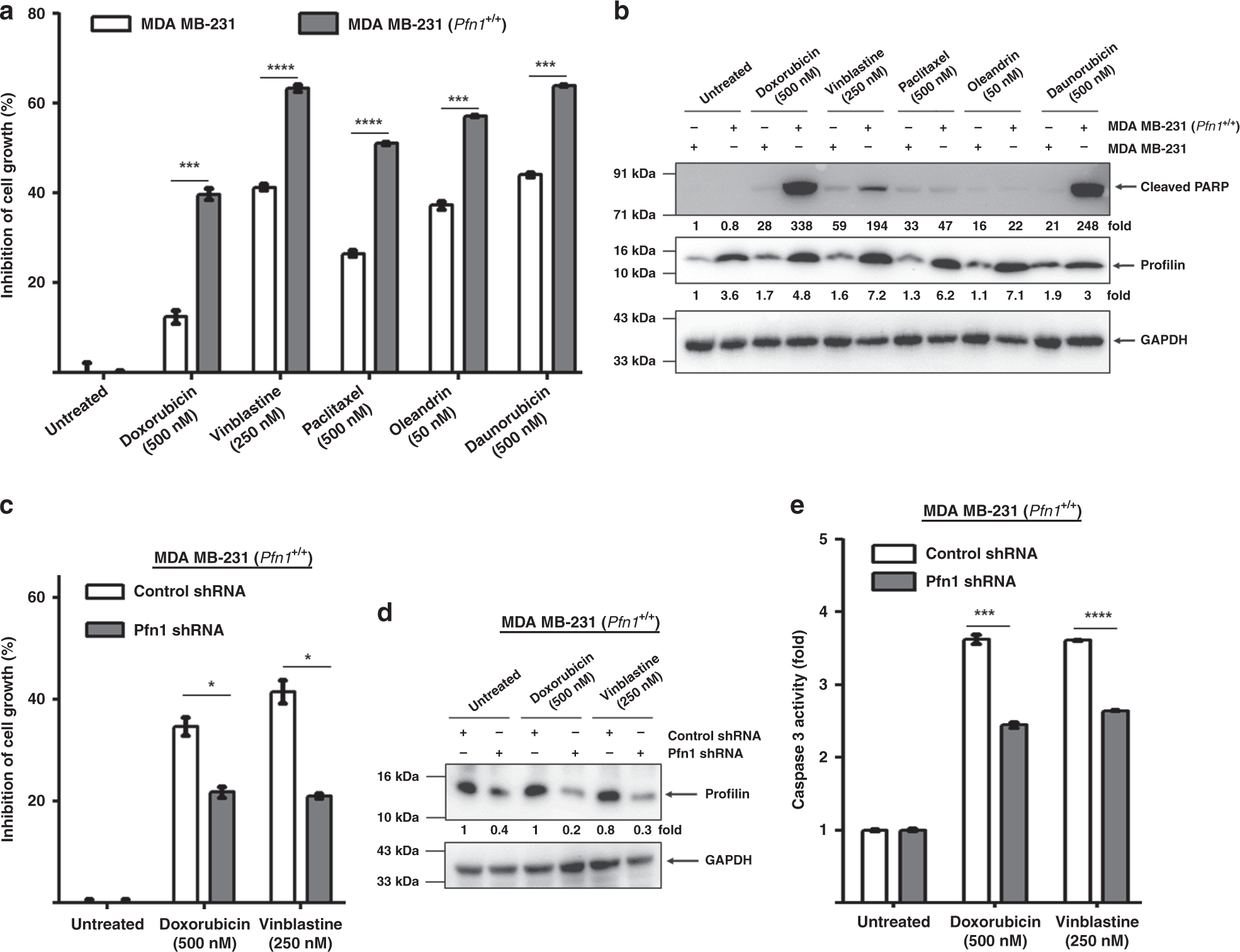 Increased Expression Of Profilin Potentiates Chemotherapeutic Agent Mediated Tumour Regression British Journal Of Cancer Increased Expression Of Profilin Potentiates Chemotherapeutic Agent Mediated Tumour Regression British Journal Of Cancer