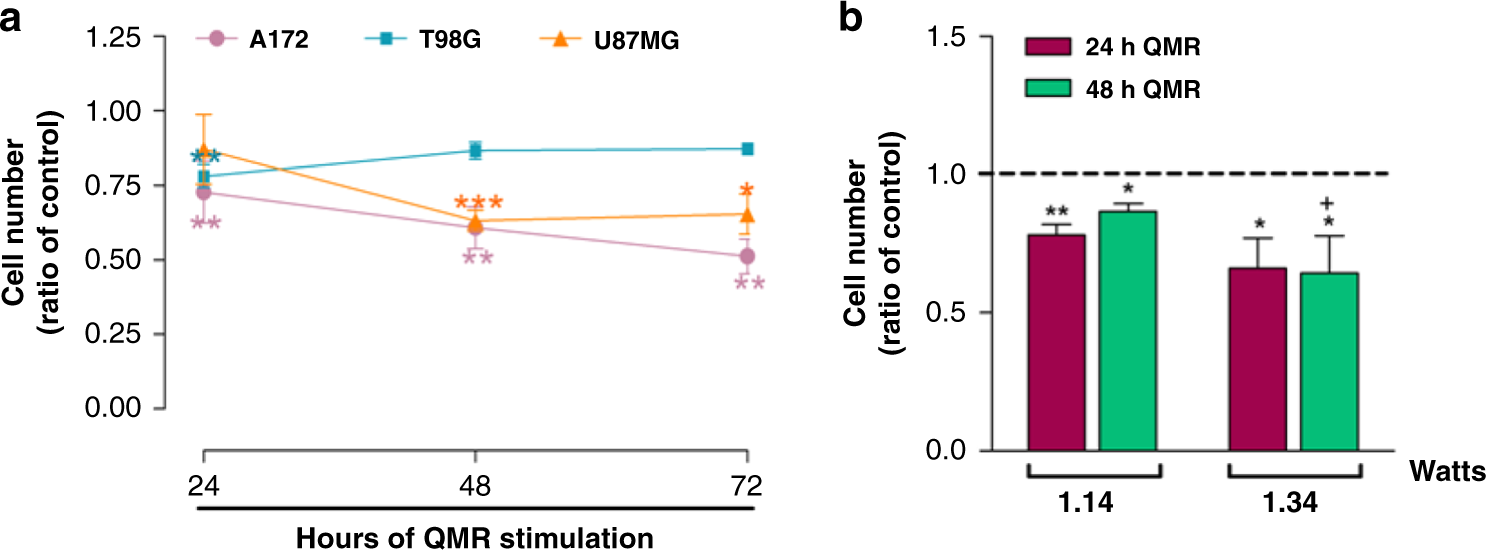 Fig. 3: Effects of QMR on the A172, T98G and U87MG cell lines.