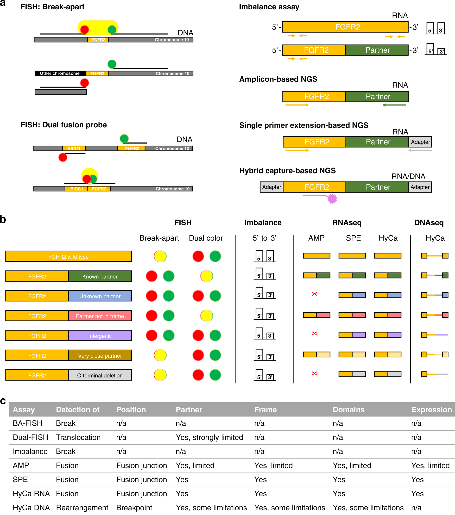 Fig. 2: Comparison of different methods for the detection of FGFR2 translocations/fusions.