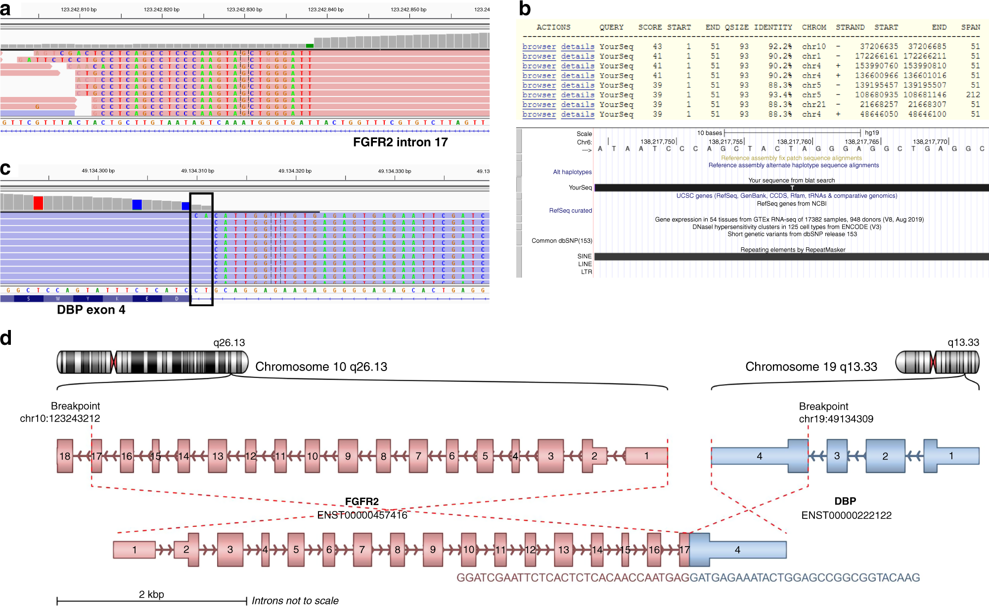 Fig. 3: Example of a FGFR2 fusion where the fusion partner could not be identified by DNA sequencing.