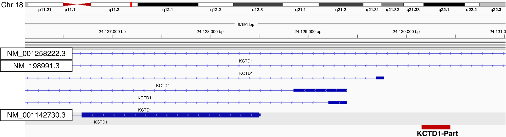 Fig. 5: Fusion annotation considering alternative isoformspecific transcription start sites.