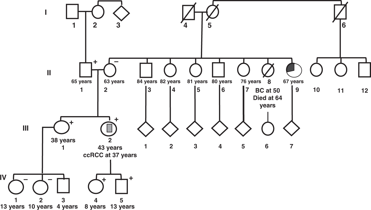 Mutation of the proline P81 into a serine modifies the tumour suppressor  function of the von Hippel–Lindau gene in the ccRCC | British Journal of  Cancer