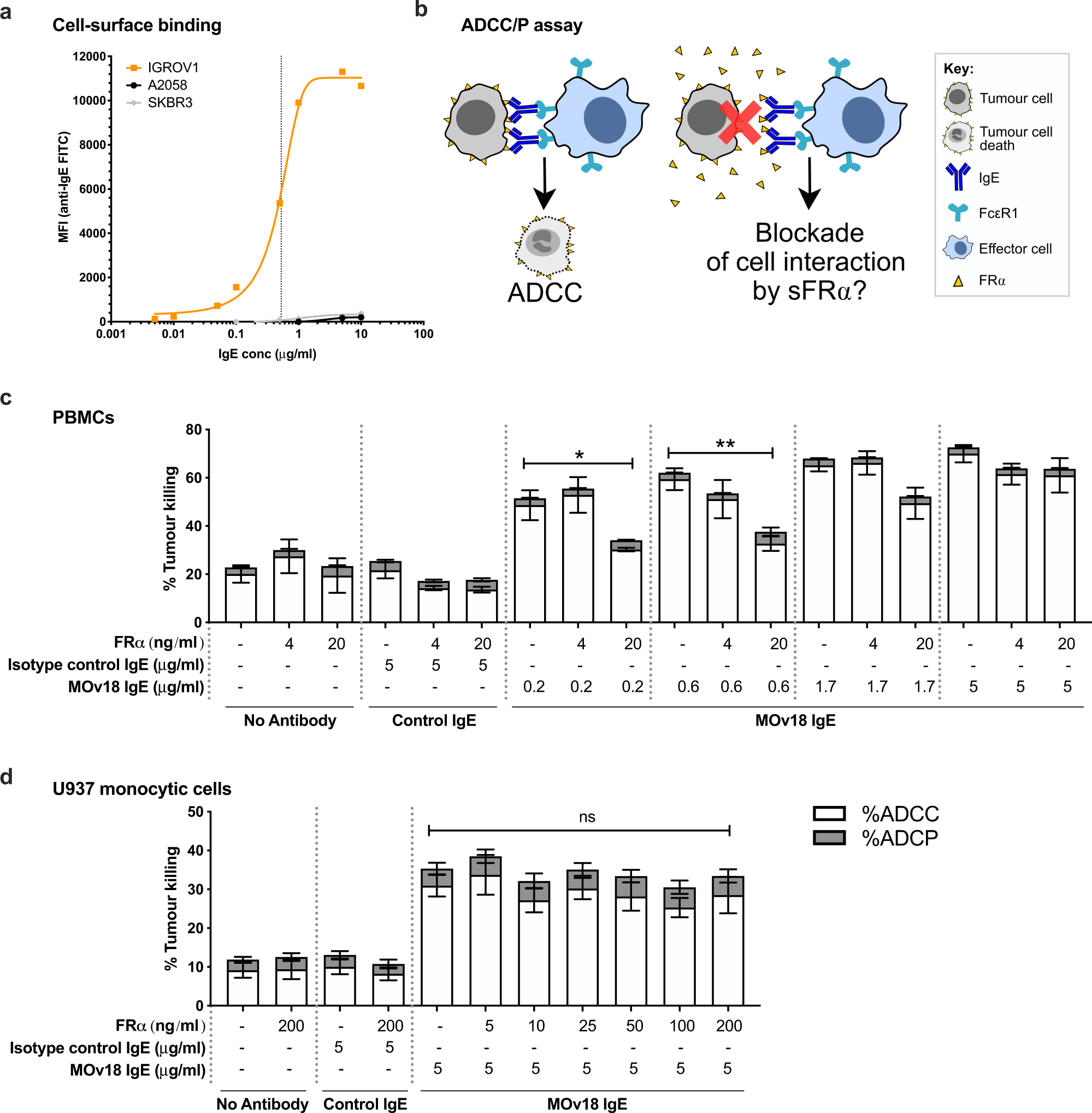 Fig. 6: Potential blockade of efficacy of a FRα-targeted therapeutic antibody candidate by soluble FRα.