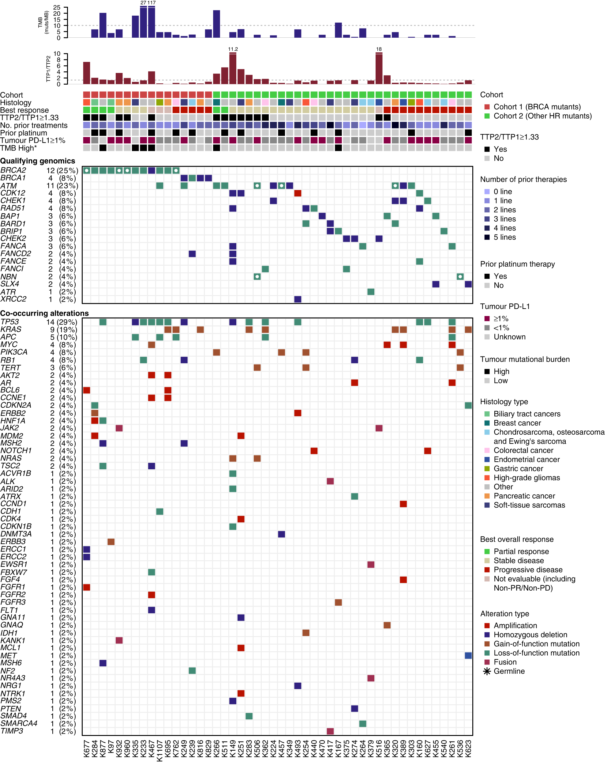 Fig. 3: Detailed overview of the qualifying and co-occurring mutational profile for individual patients.