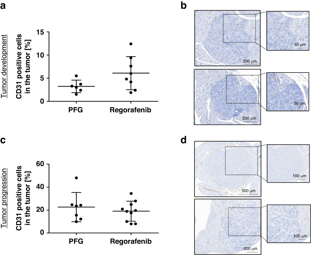 Fig. 3: Blood vessel density within the tumors after Regorafenib treatment.