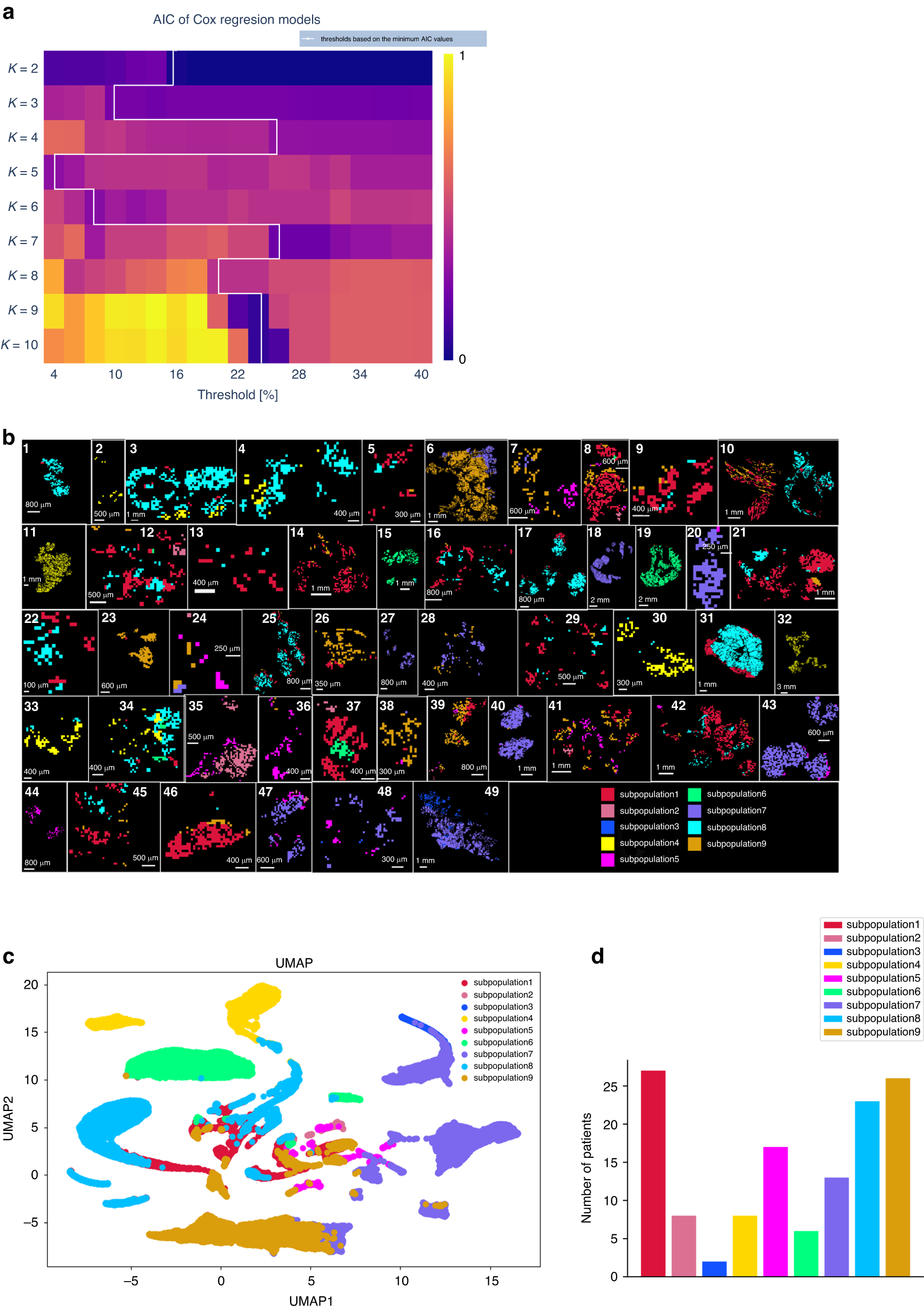 Fig. 2: K-means unsupervised clustering analysis identifies nine tumour metabolic subpopulations.