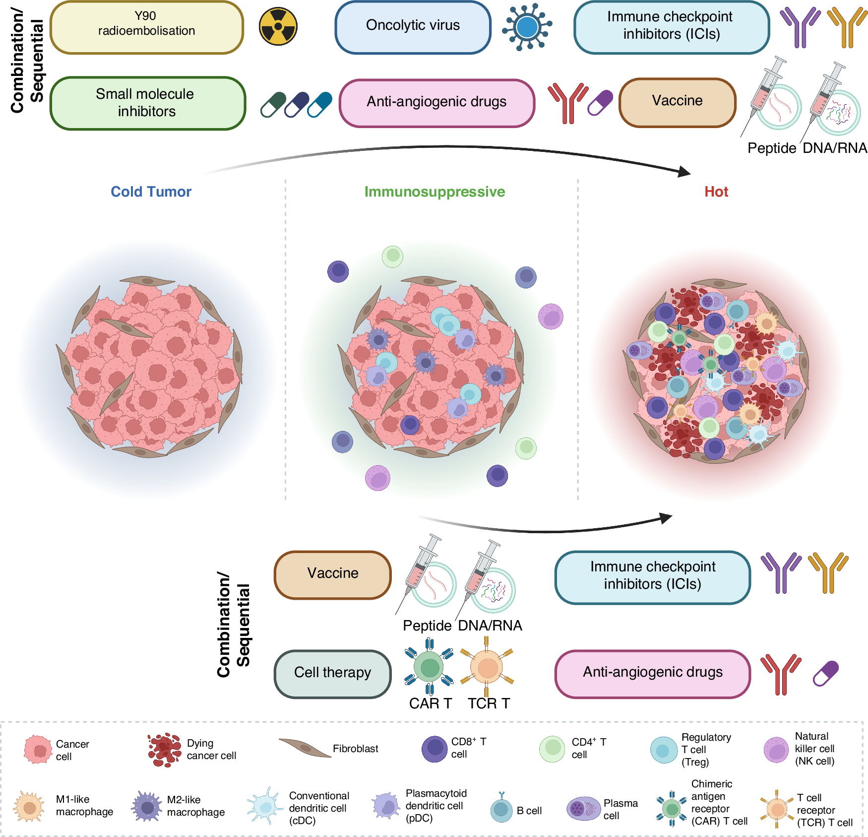 Fig. 2: Strategic approaches for overcoming immune evasion mechanisms in Hepatocellular Carcinoma (HCC) involve transforming the immune cold tumour microenvironment (TME) into an immune hot TME.