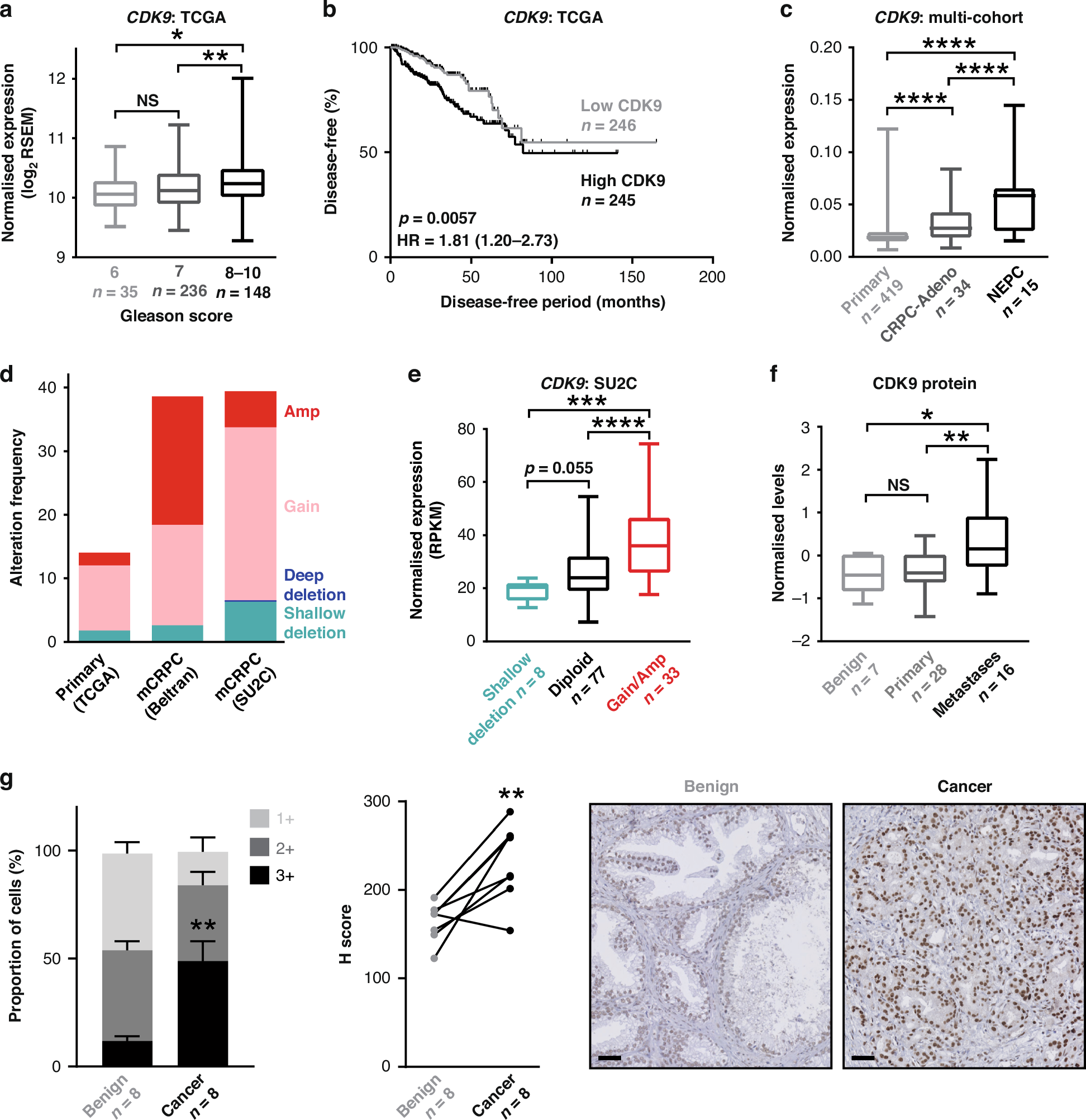 CDK9 inhibition constrains multiple oncogenic transcriptional and epigenetic pathways in prostate cancer | British Journal of Cancer cdk9-inhibition-constrains-multiple-oncogenic-transcriptional-and-epigenetic-pathways-in-prostate-cancer-british-journal-of-cancer