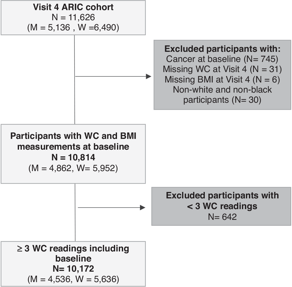 Fig. 1: Flow diagram of individuals in the ARIC cohort. Excluded individuals (dark grey). Included individuals (light grey). Waist circumference-related exclusion criteria were observational level exclusions but led to individual exclusions if all waist circumference readings were outside the range.