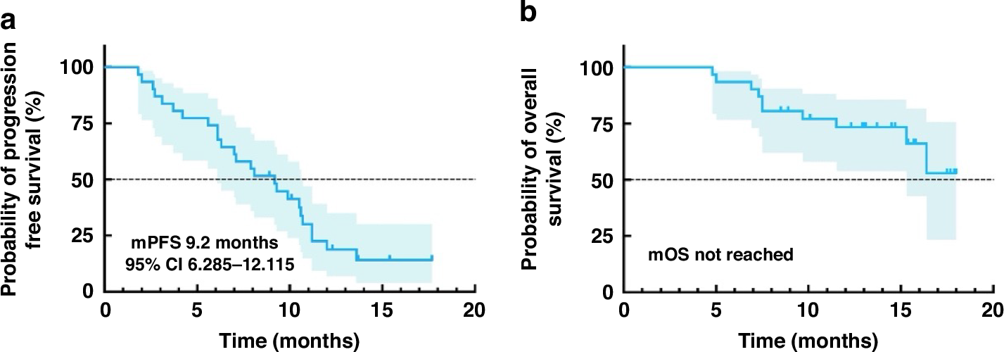 Fig. 2: Survival Outcomes.