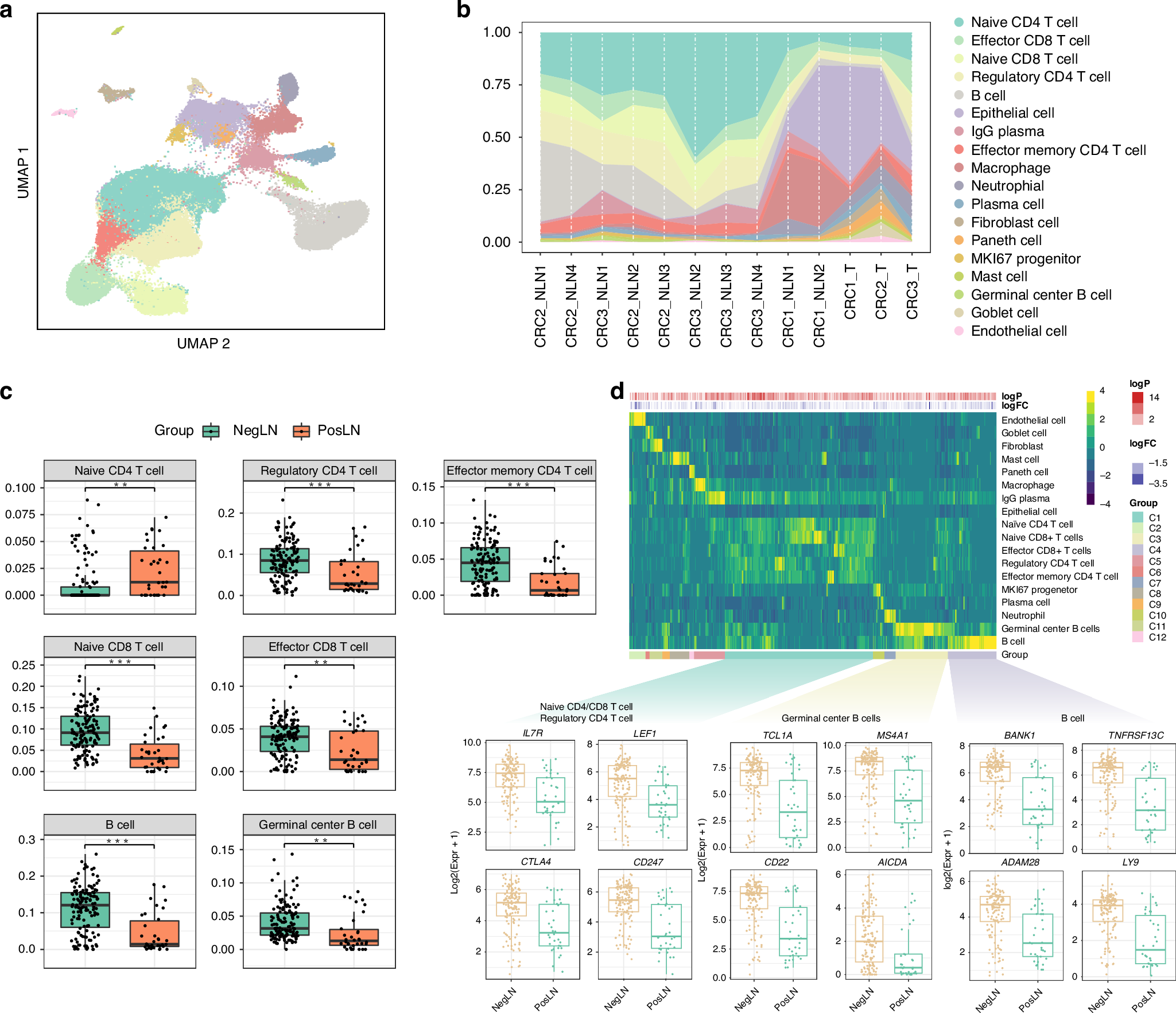 Fig. 3: The immune infiltration profile of TDLNs.