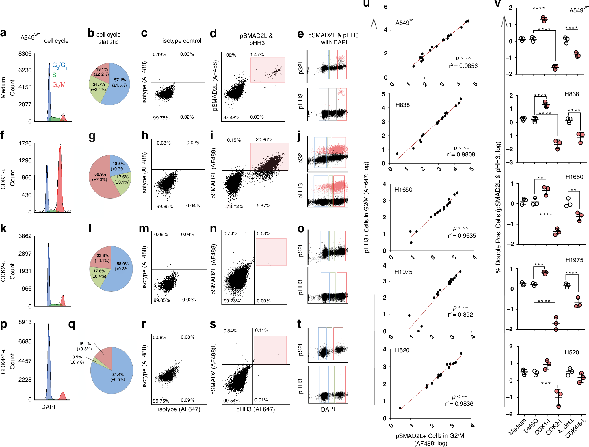 Fig. 2: Effects of CDK inhibitors on cell cycle, pSMAD2L and pHH3 expression in NSCLC cell lines.