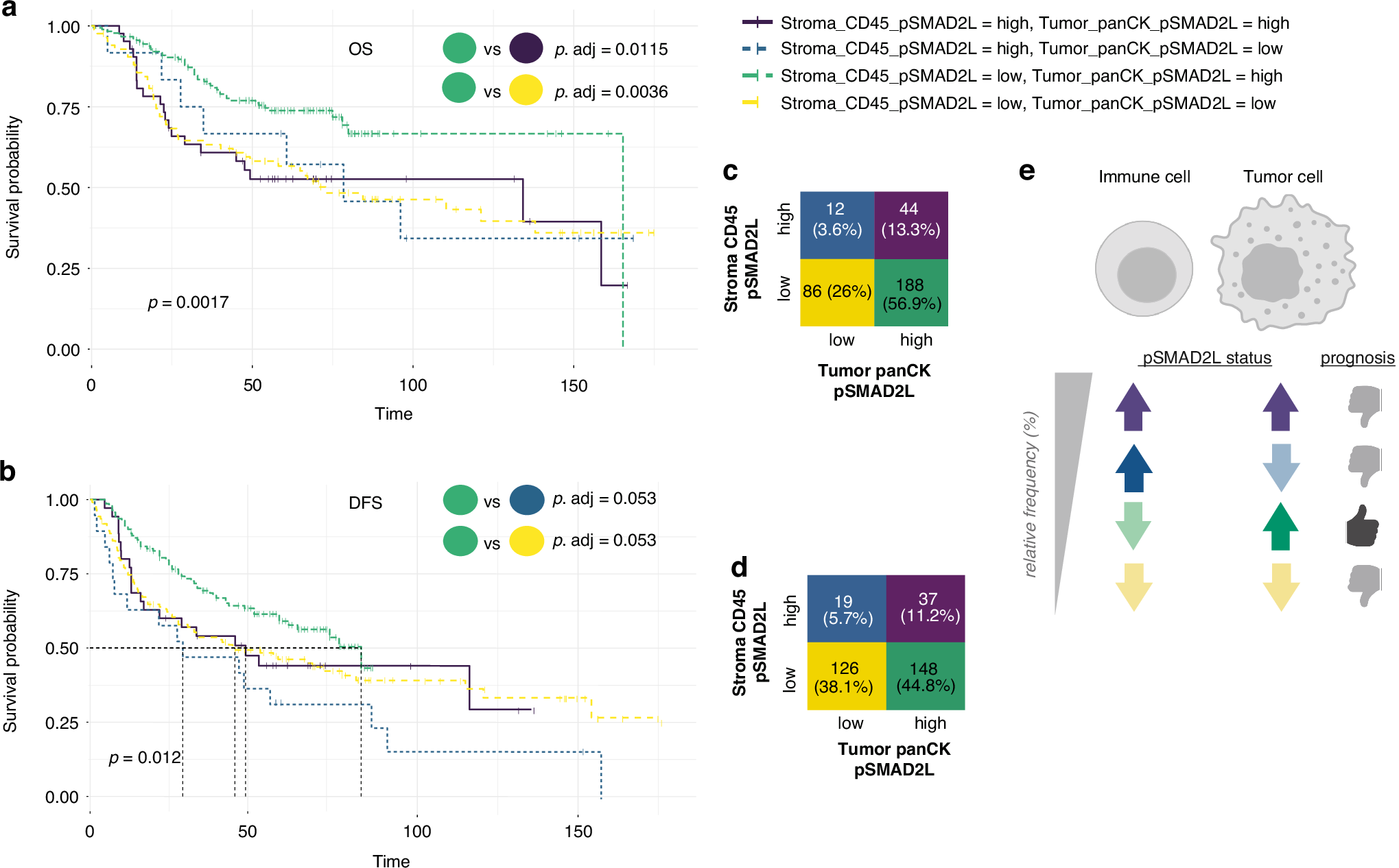 Fig. 7: SMAD2 linker phosphorylation in NSCLC affects OS and DFS in a spatially distinct manner.