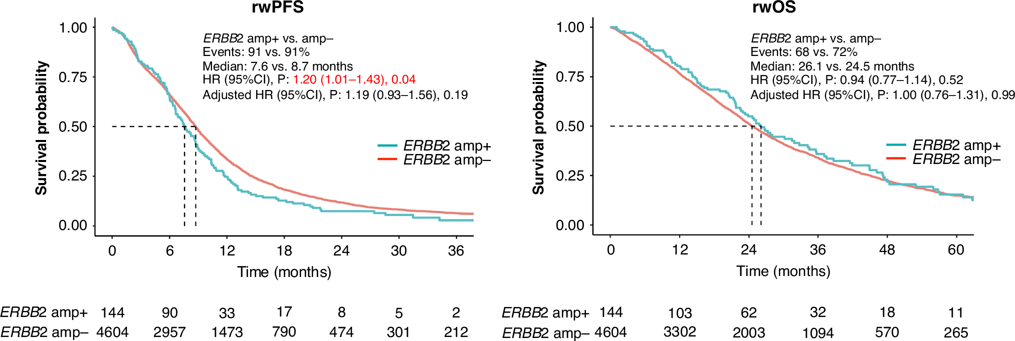 Fig. 2: Real-world progression-free survival and overall survival in all patients by ERBB2 amplification status.