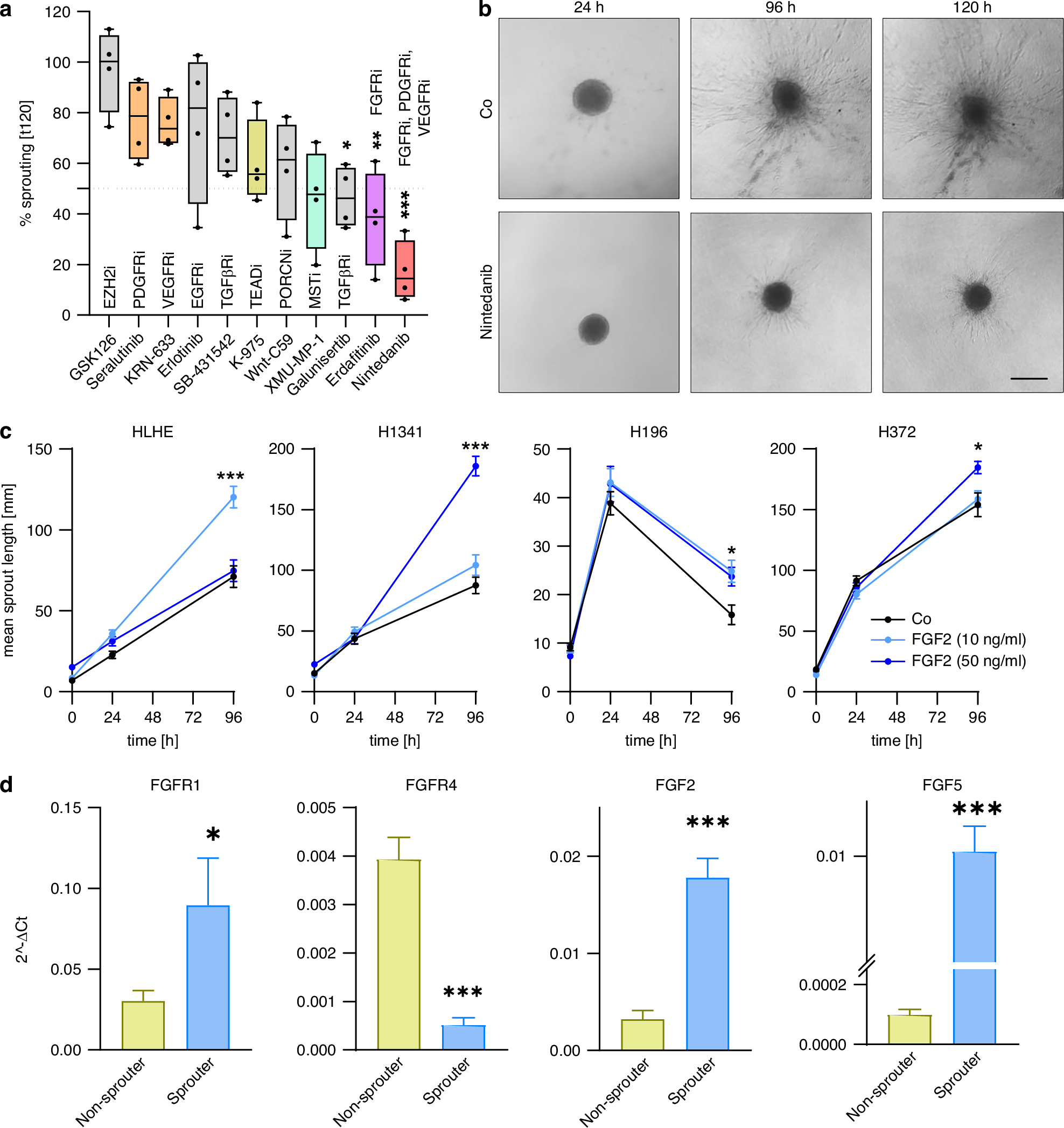 Fig. 5: Sprouting potential is reduced after FGFR inhibition.
