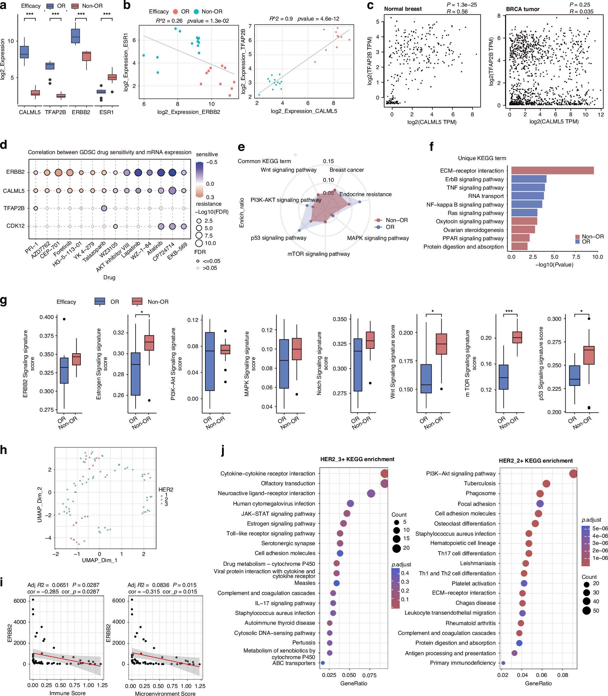 Fig. 2: Identification of baseline malignant signatures in distinct responsive regions to KN026 treatment.