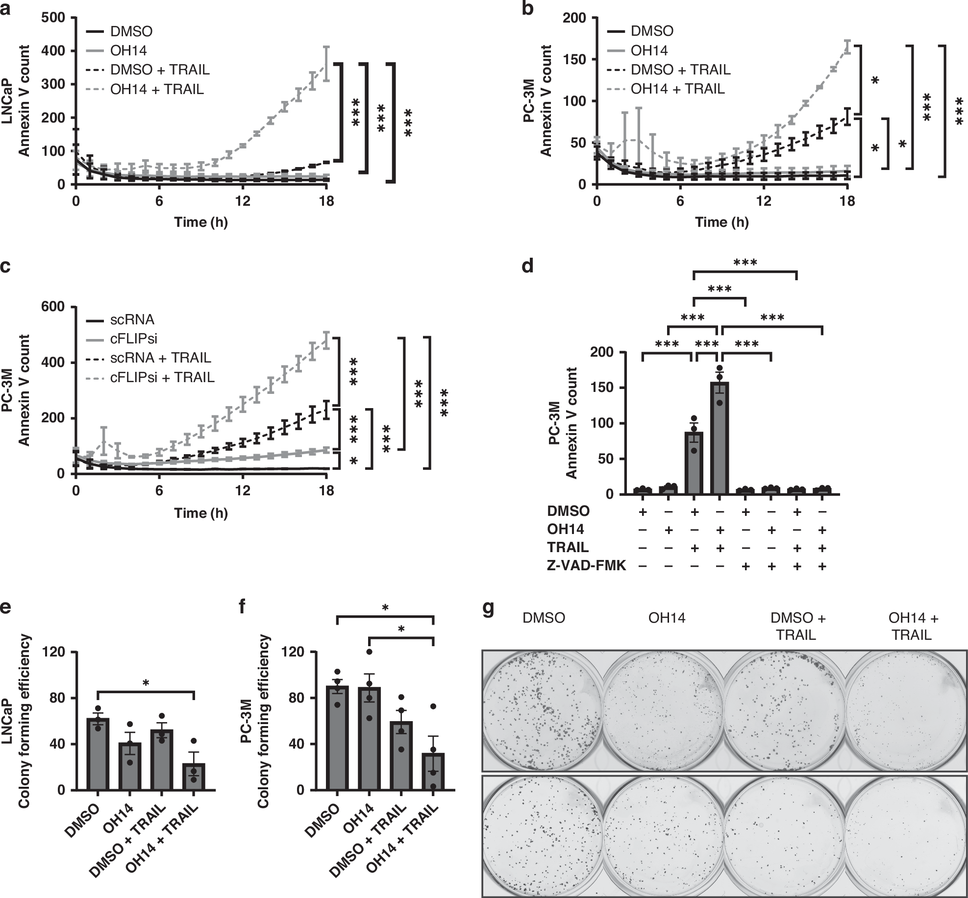 Fig. 1: Investigating the response of prostate cancer cell lines to OH14 and TRAIL.