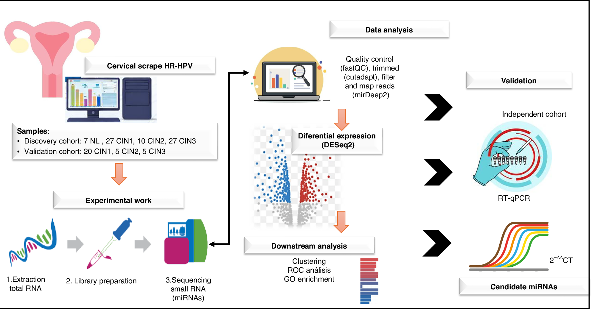 Identification of microRNAs as biomarkers for triage of cervical intraepithelial neoplasia in cervical scrape samples from high-risk HPV-positive women