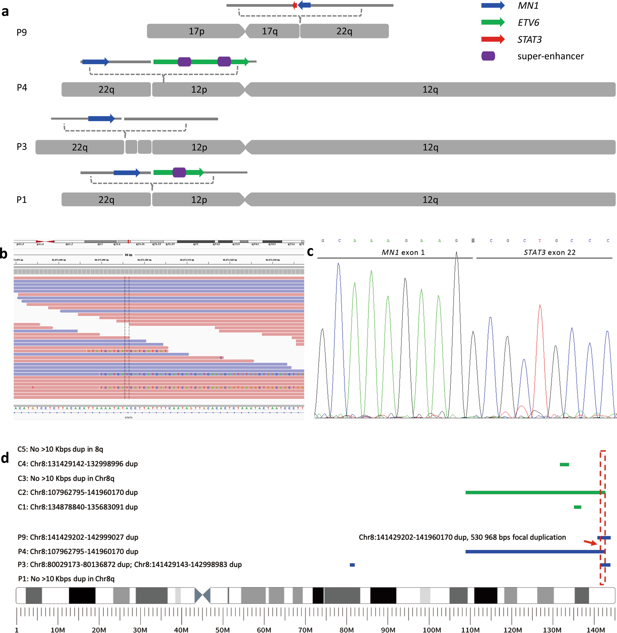 Fig. 3: Genomic analysis of MN1-ETV6 negative cases.