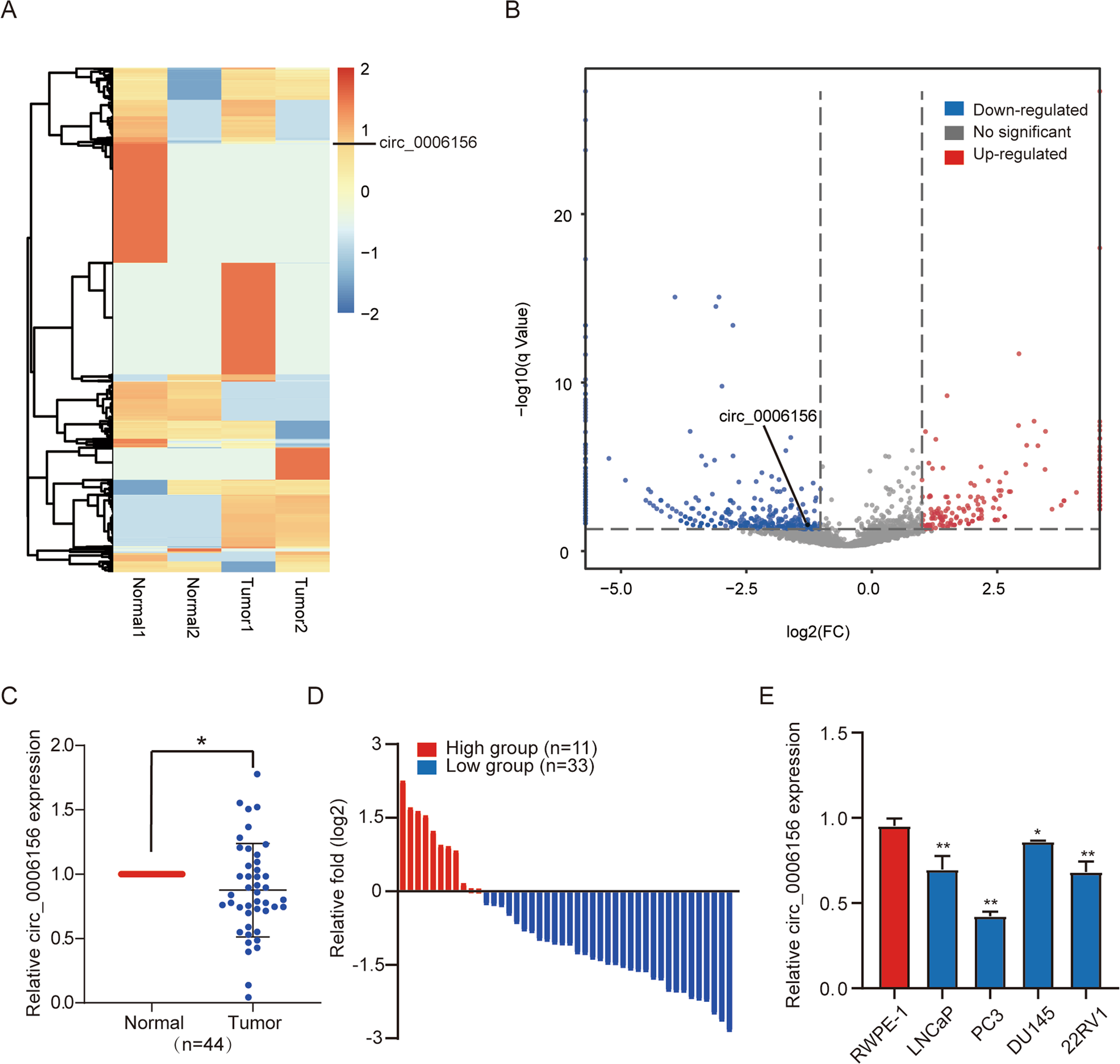 Fig. 1: Circ_0006156 is expressed at low levels in PCa tissues and cells.