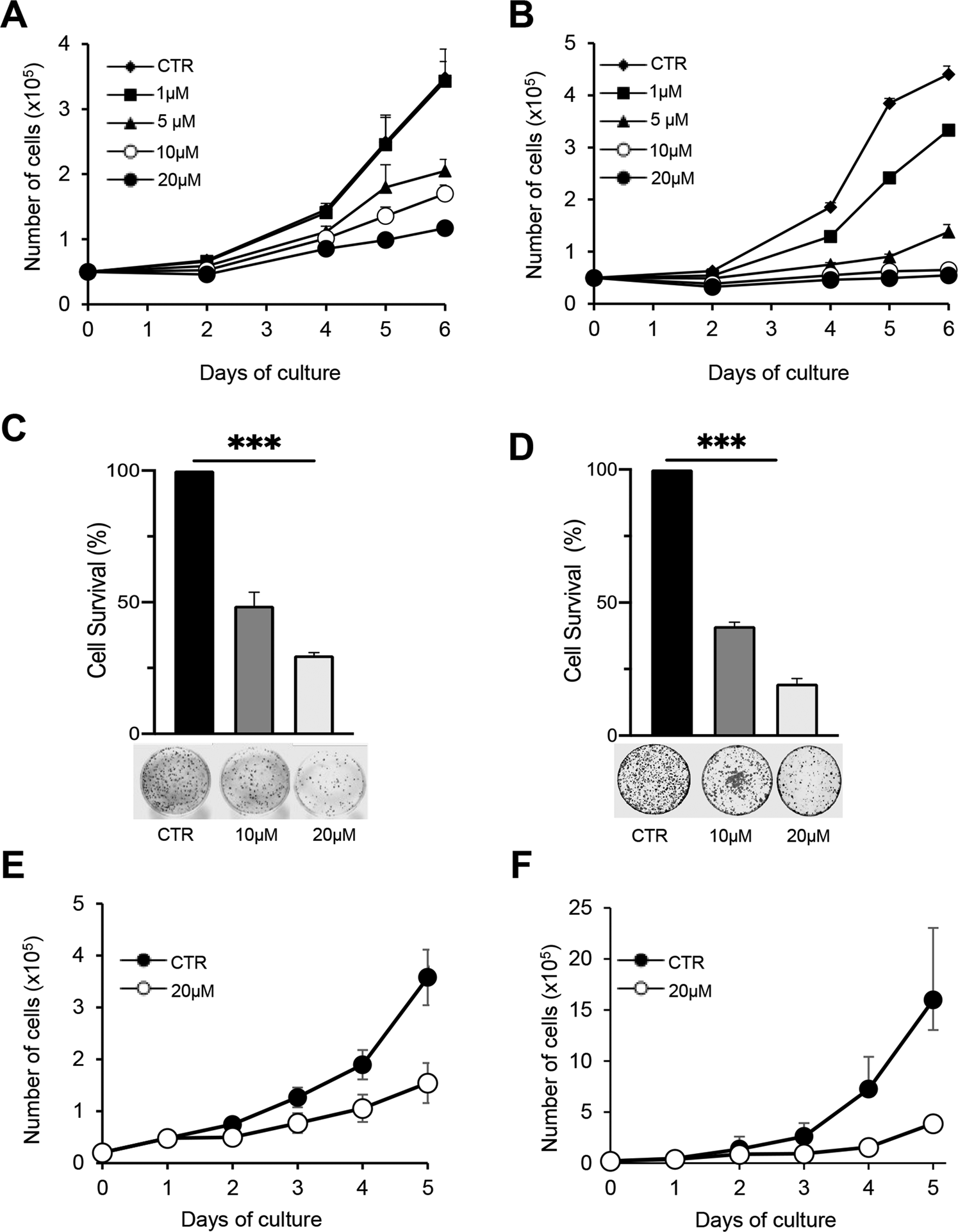 Fig. 1: A-485 inhibits cell growth in NSCLC cell lines.