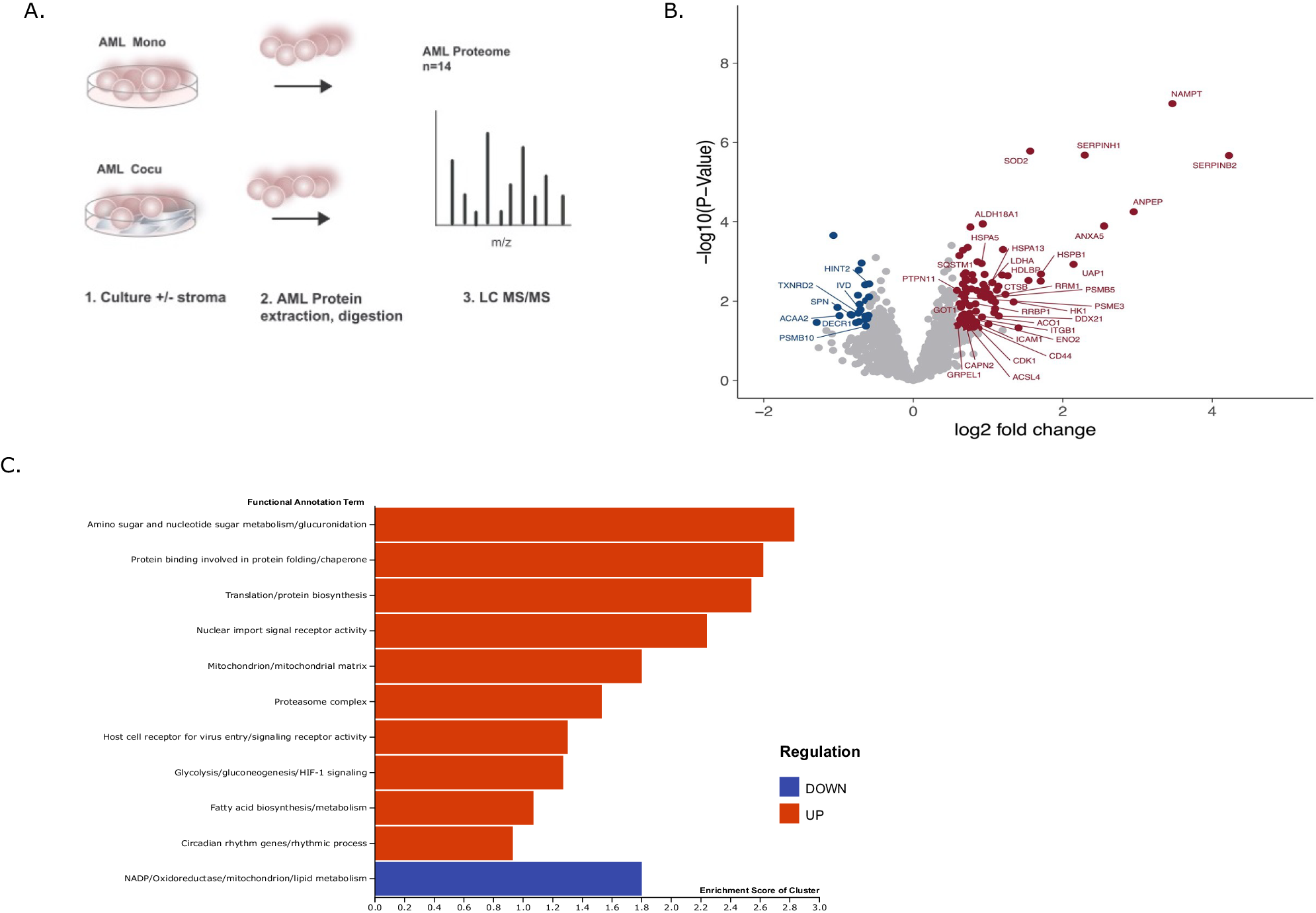Fig. 1: The proteomic profiles of AML samples are metabolically impacted by the interactions with BMSC.
