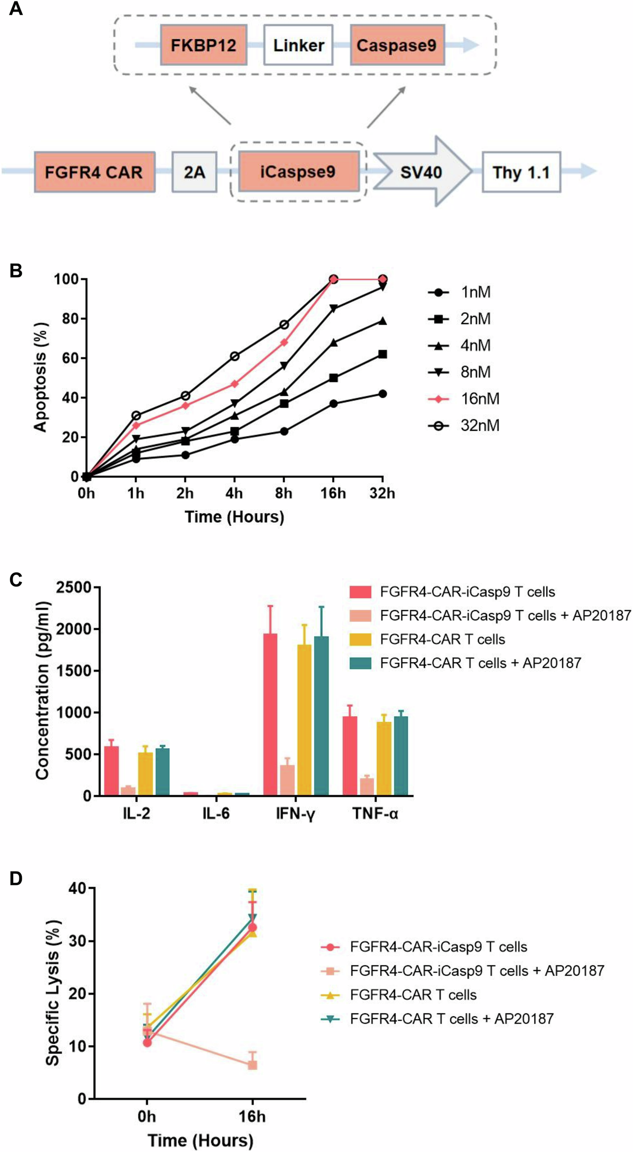 Fig. 5: Fibroblast growth factor receptor 4 (FGFR4) chimeric antigen receptor (CAR)-modified T cells expressing an inducible caspase-9 (iCasp9) gene are eliminated by chemical inducer of dimerization (CID).