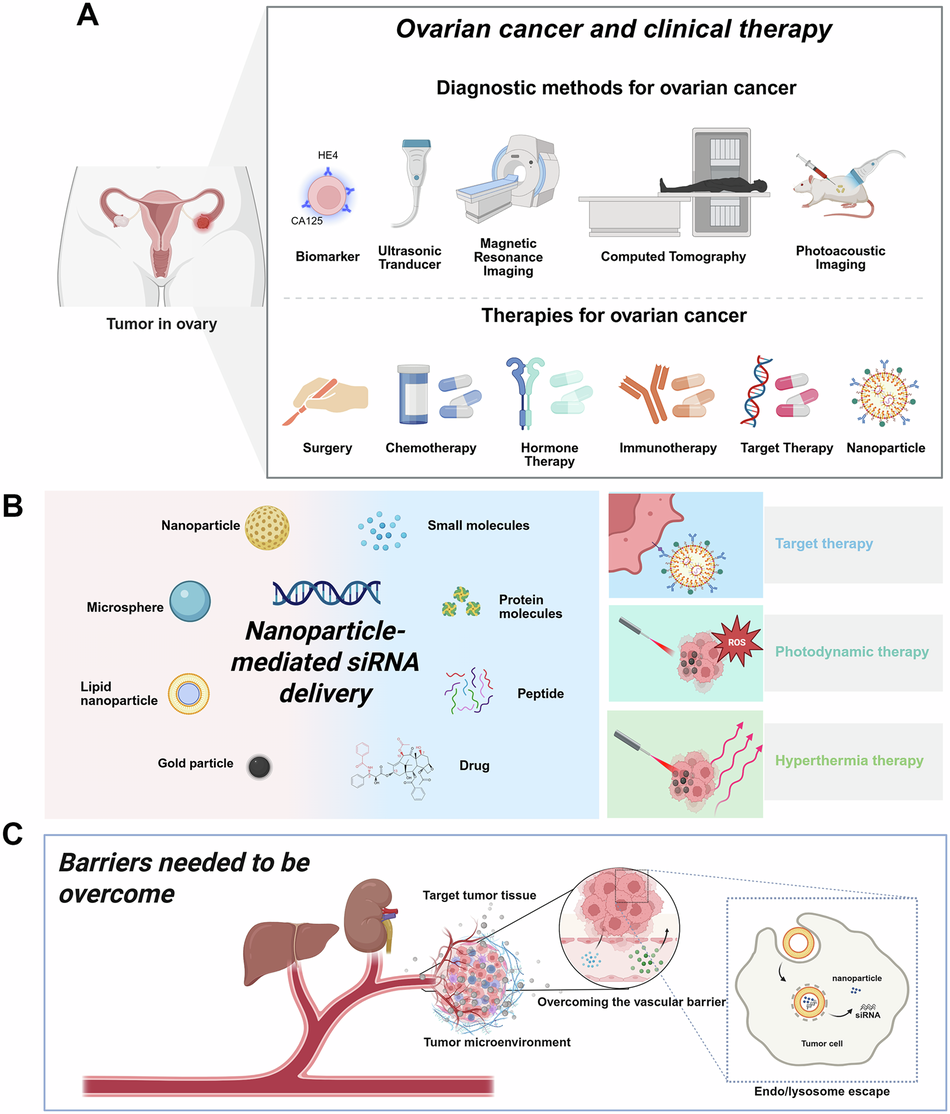 The application of nanoparticle-mediated siRNA delivery systems in ovarian  cancer | Cancer Gene Therapy