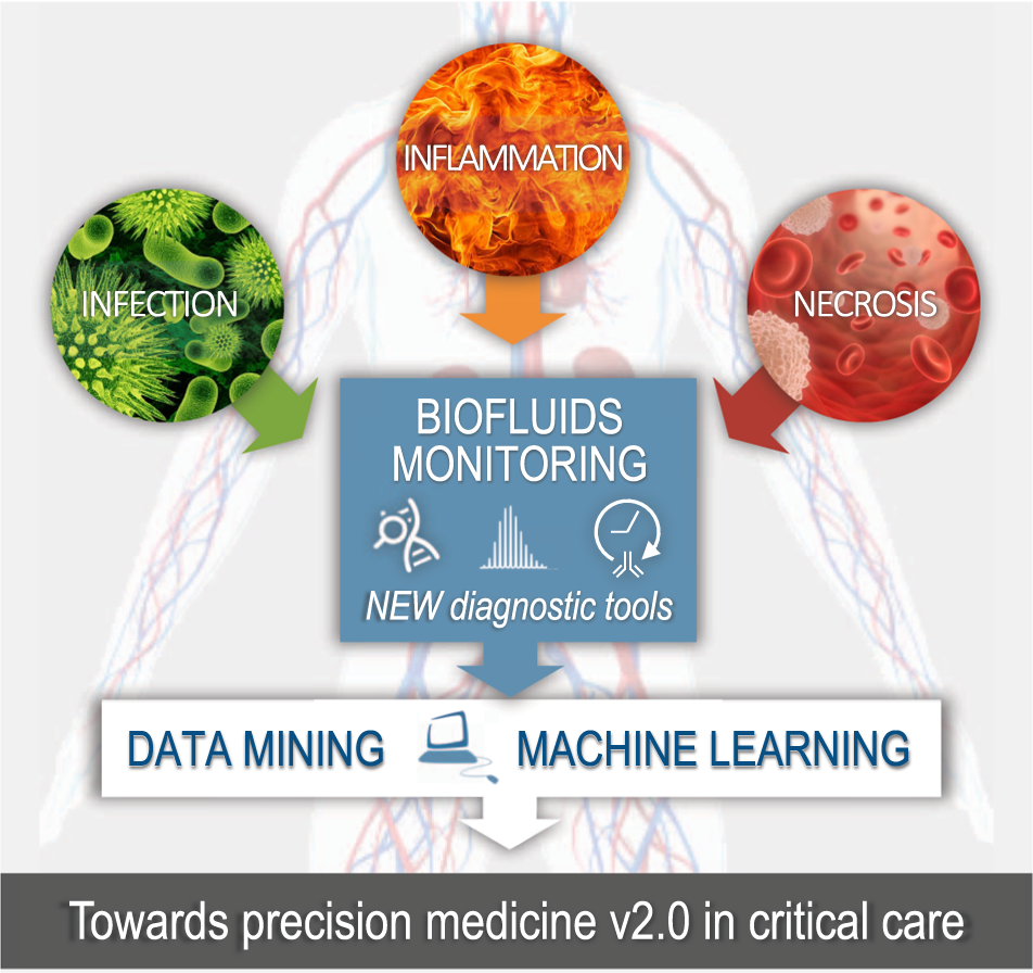 Paving The Way For Precision Medicine V2 0 In Intensive Care By