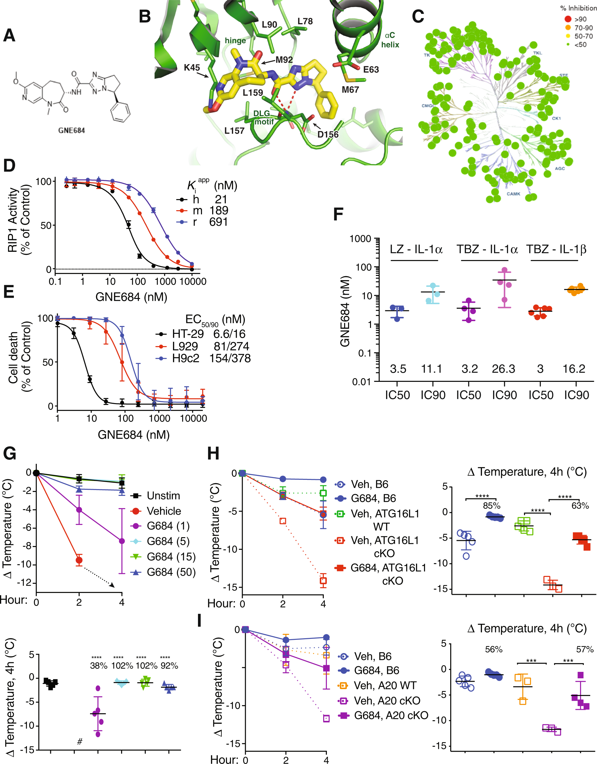 RIP1 inhibition blocks inflammatory diseases but not tumor growth or  metastases | Cell Death & Differentiation