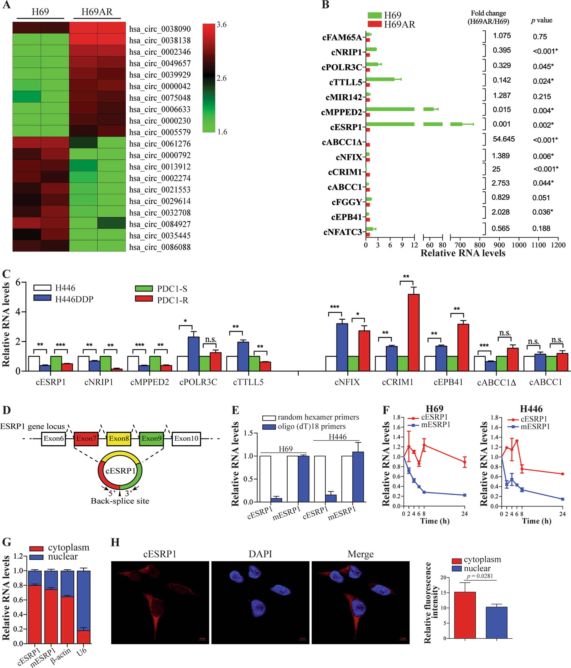 Circular RNA cESRP1 sensitises small cell lung cancer cells to chemotherapy by sponging miR-93-5p to inhibit TGF-β signalling Cell Death and Differentiation pic