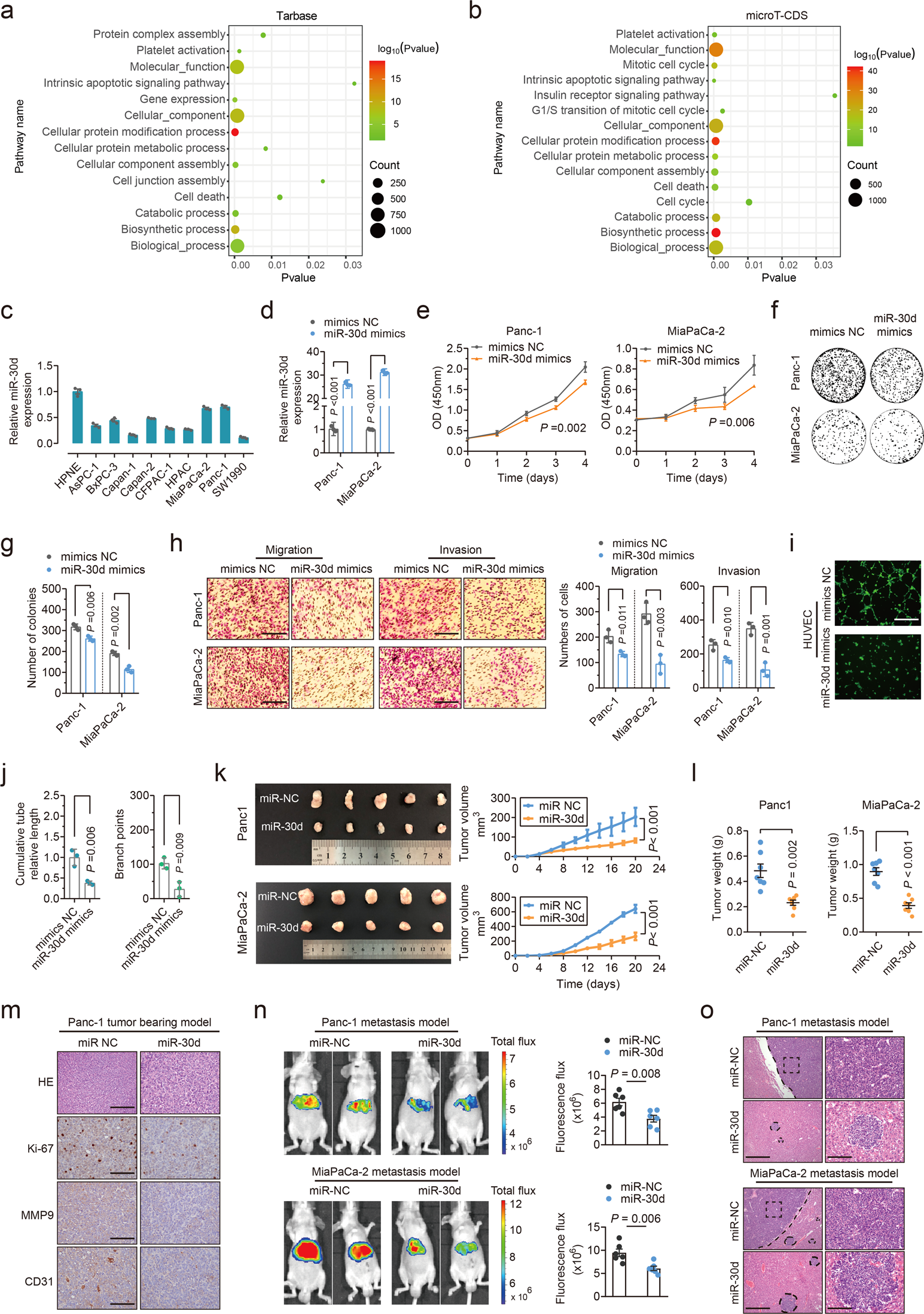 Fig. 2: miR-30d suppresses tumor proliferation, metastasis, and angiogenesis both in vitro and in vivo.