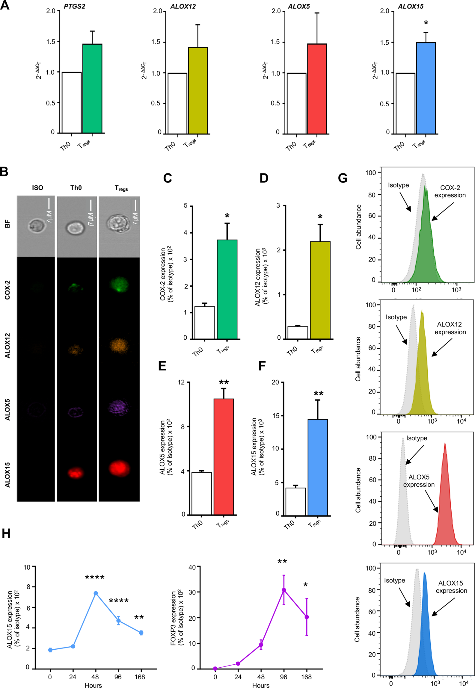Loss of 15-lipoxygenase disrupts Treg differentiation altering their pro-resolving  functions | Cell Death & Differentiation