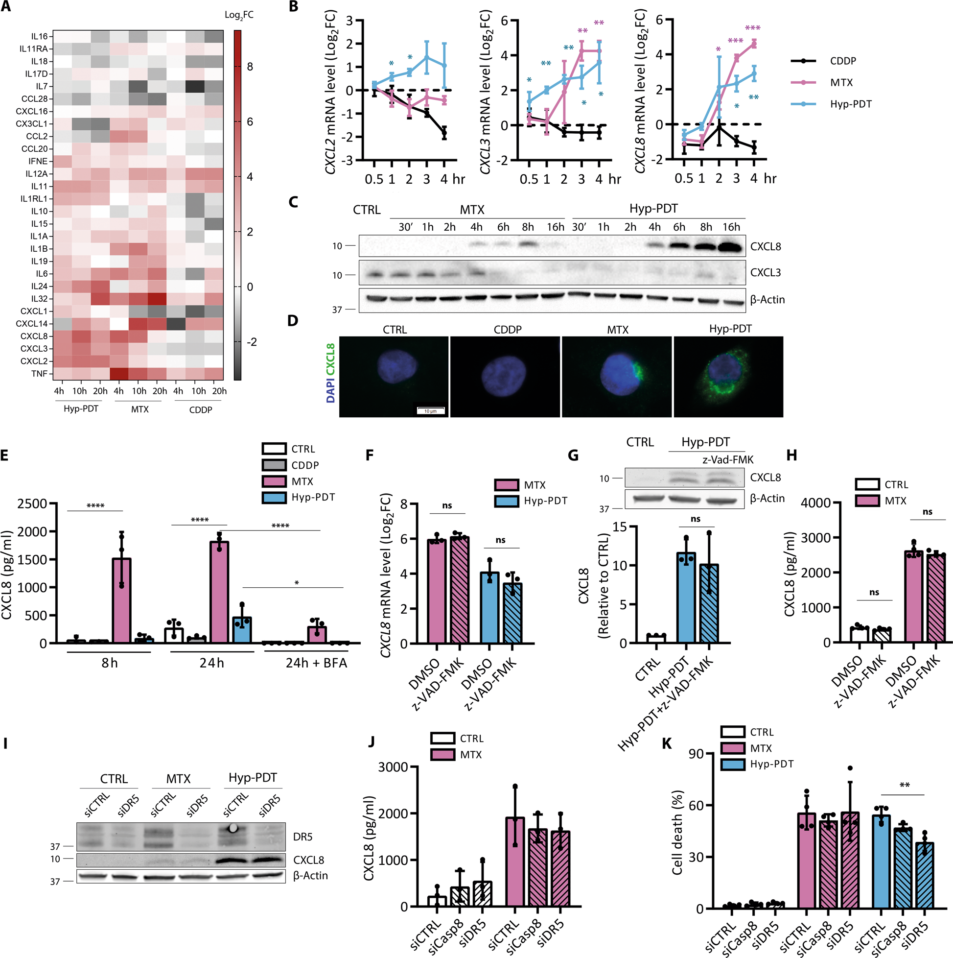 Fig. 2: Immunogenic treatments elicit chemokine production independent of cell death.