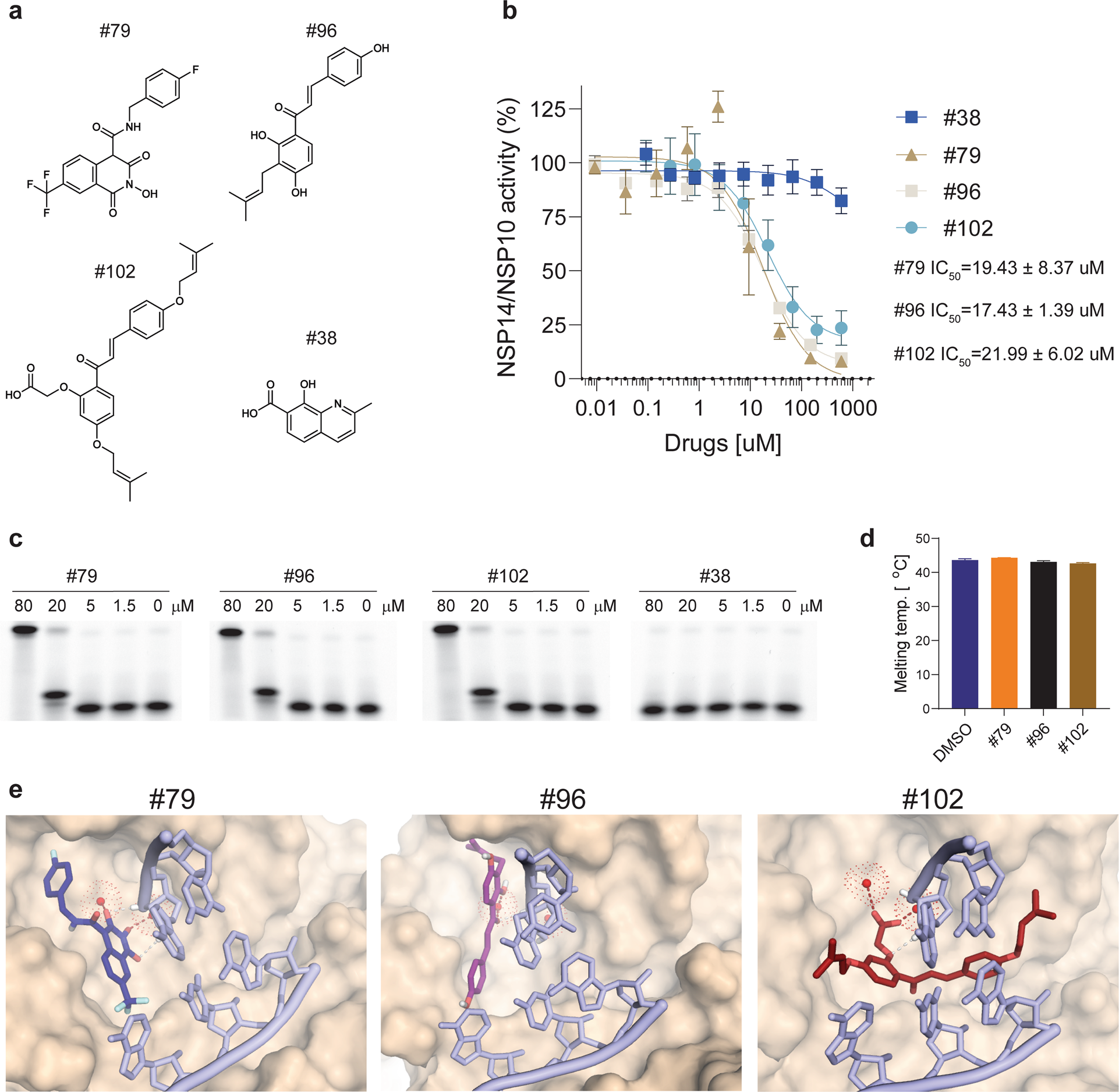 Fig. 2: Characterization of novel NSP14/10 inhibitors.