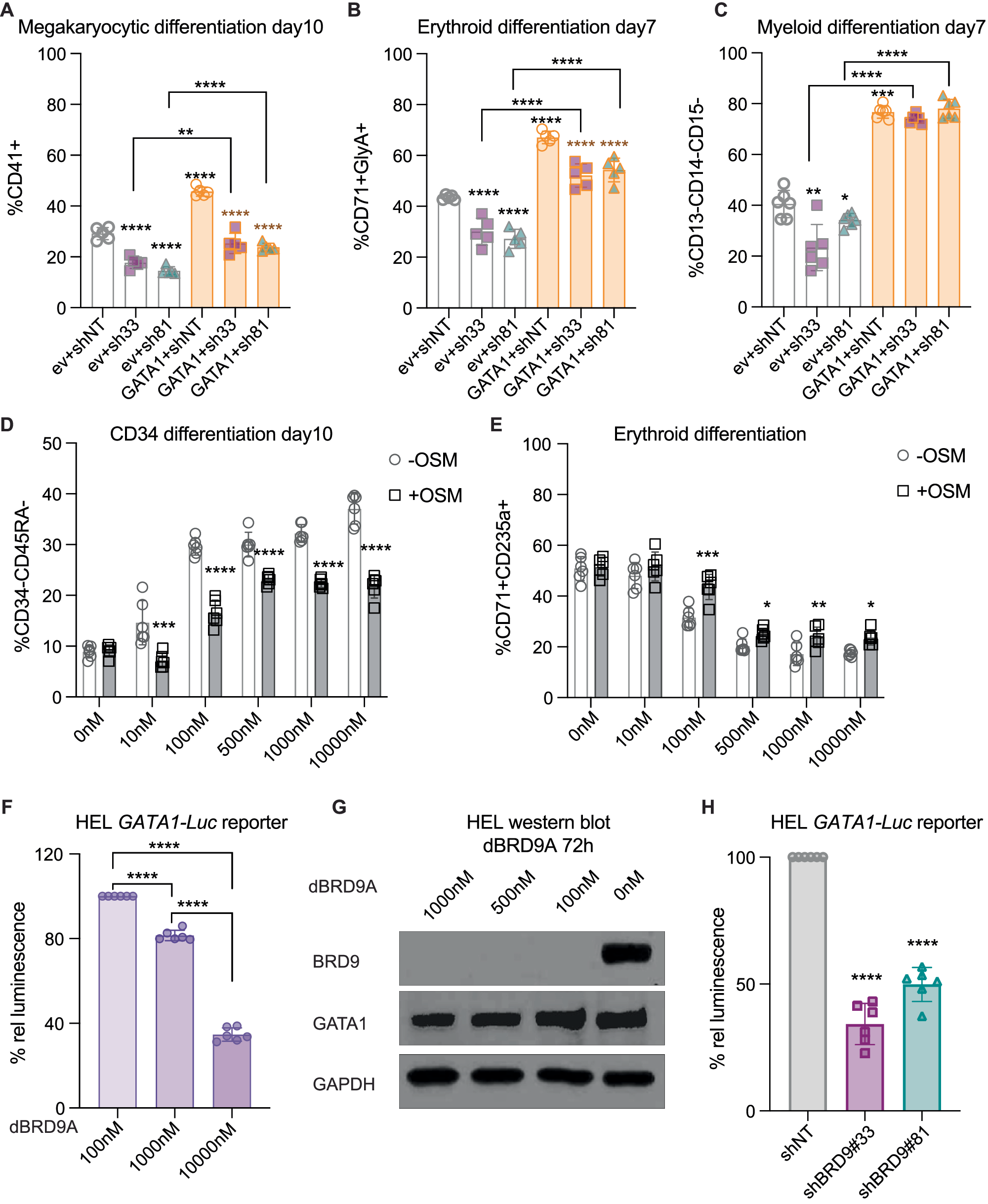 Fig. 5: HSPC differentiation phenotype rescue and modulation of GATA1 activity.